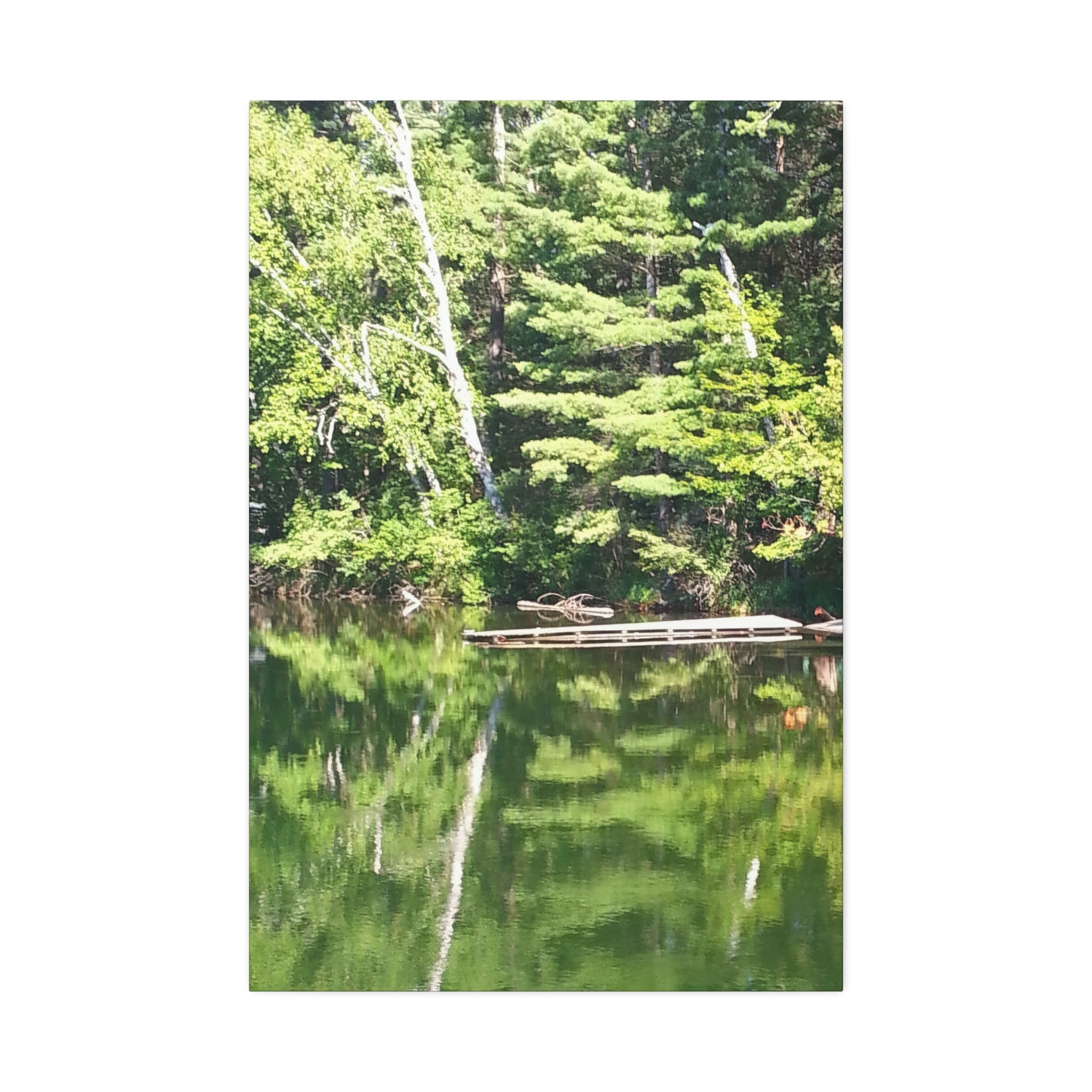 Echoed Stillness | Sheltered Green Lake Wall Art | The Nurture Collection