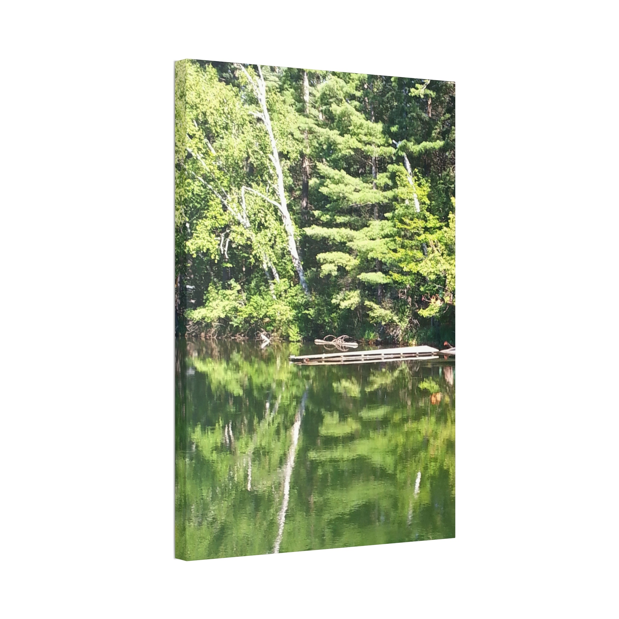 Echoed Stillness | Sheltered Green Lake Wall Art | The Nurture Collection
