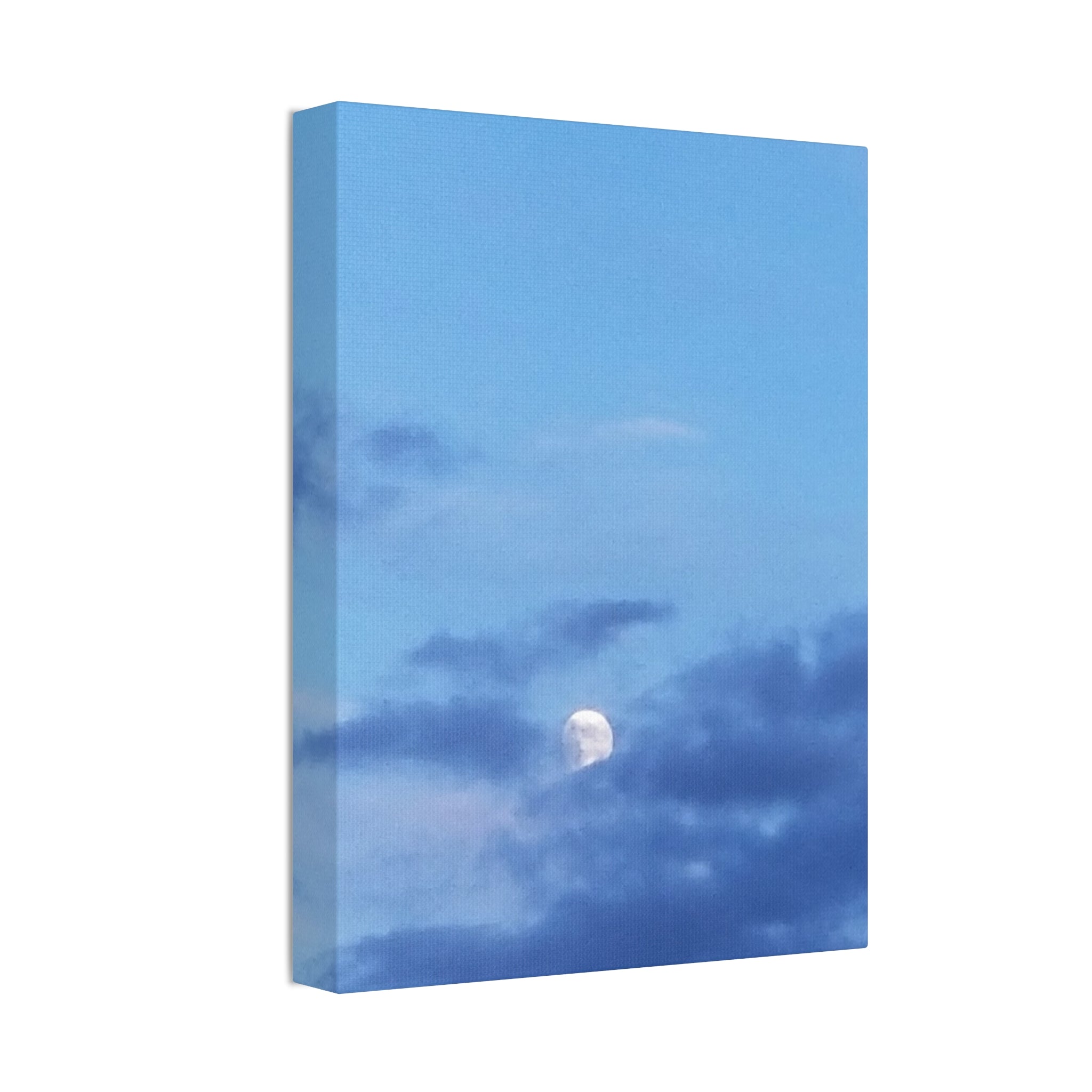 Celestial Wild | Hushed Lunar Firmament Wall Art | The Inspiration Collection
