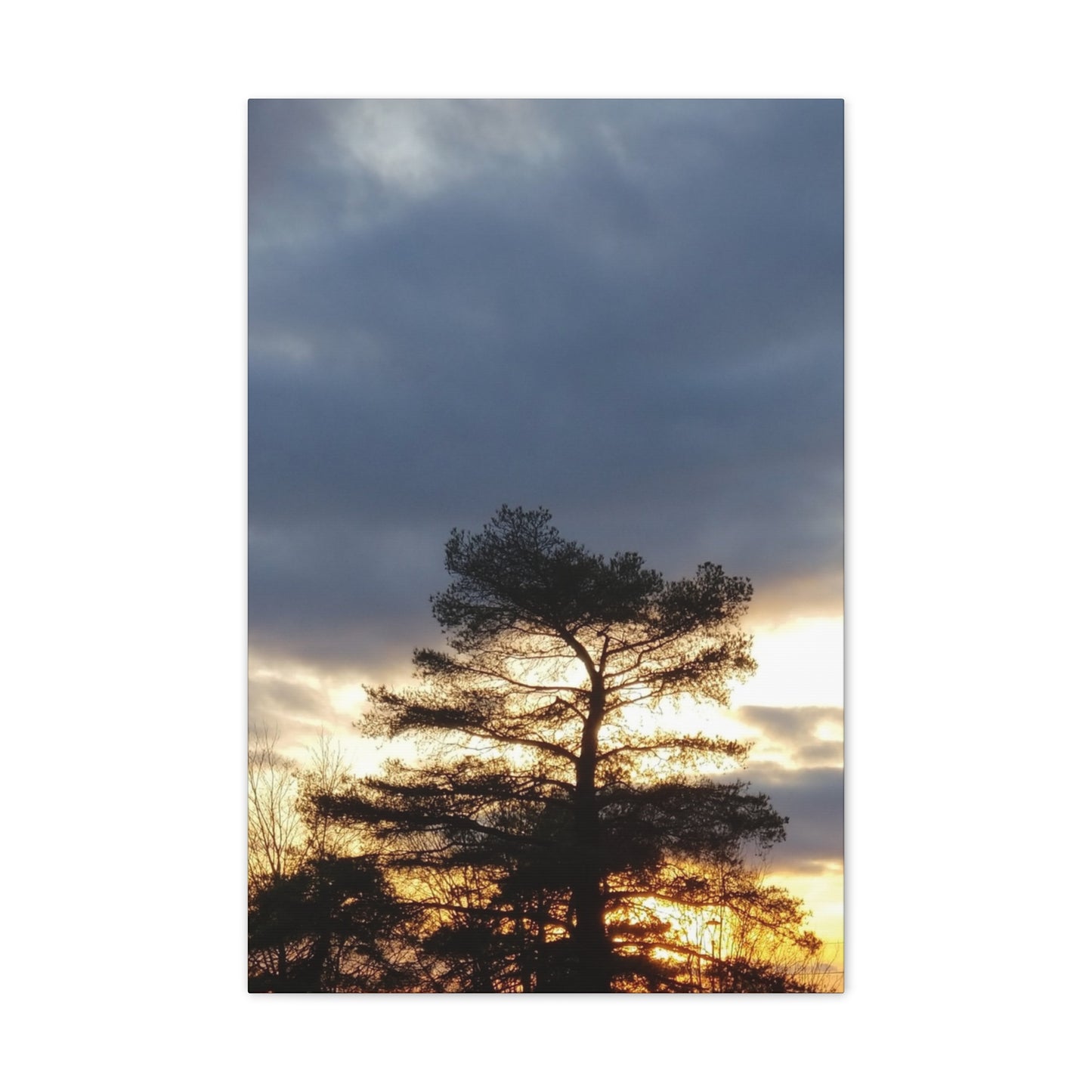 Nature-Inspired Canvases from an #originalphotograph of a Sunset Tree - 0.75" Stretched Nature Wall Decor