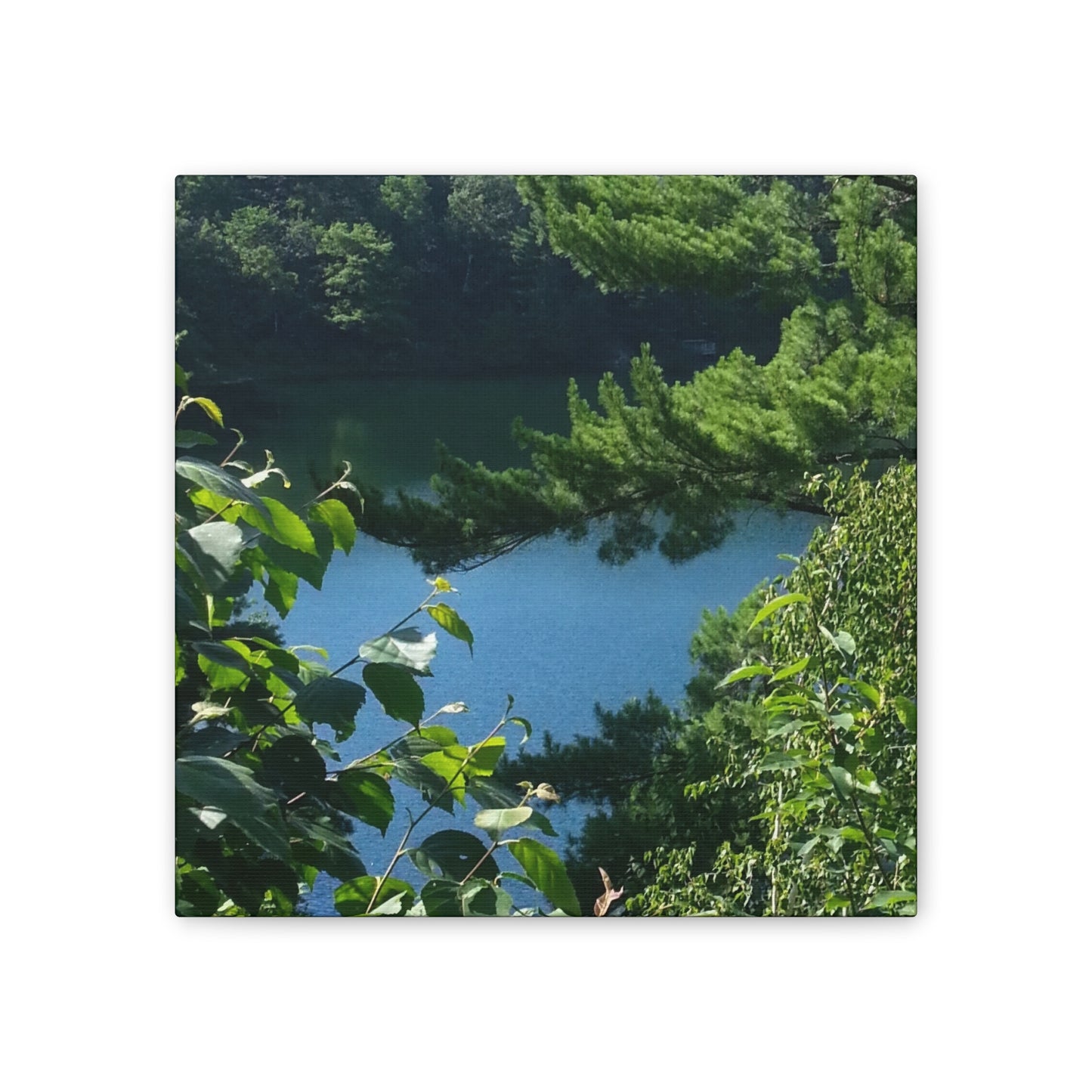 Nature-Inspired Canvases from an #originalphotograph of #PinkLake in Ontario - 0.75" Stretched Nature Wall Decor