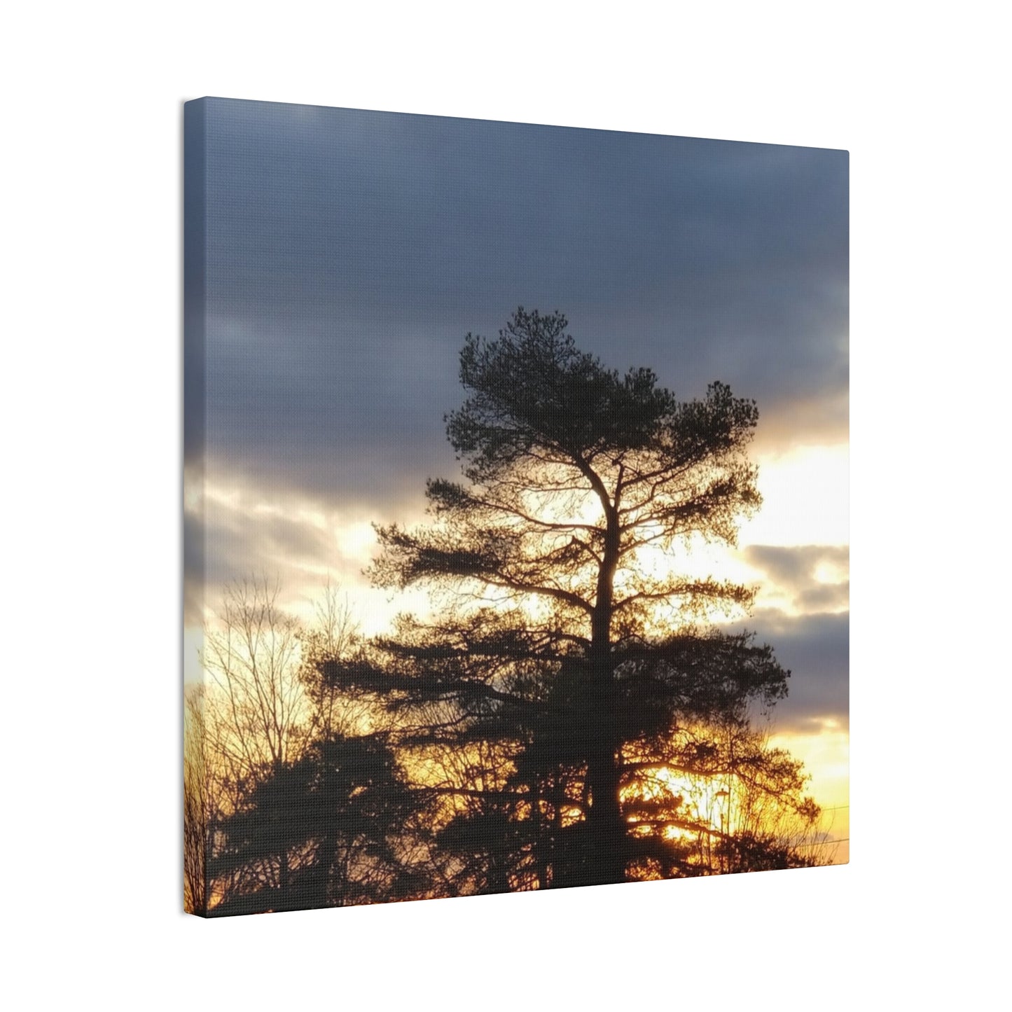 Nature-Inspired Canvases from an #originalphotograph of a Sunset Tree - 0.75" Stretched Nature Wall Decor