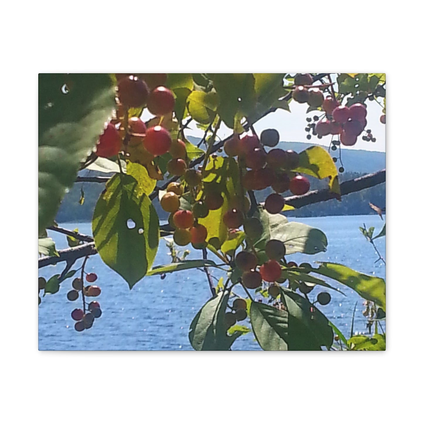 Nature-Inspired Canvases from an #originalphotograph of a Scenic Berry Branch - 0.75" Stretched Nature Wall Decor