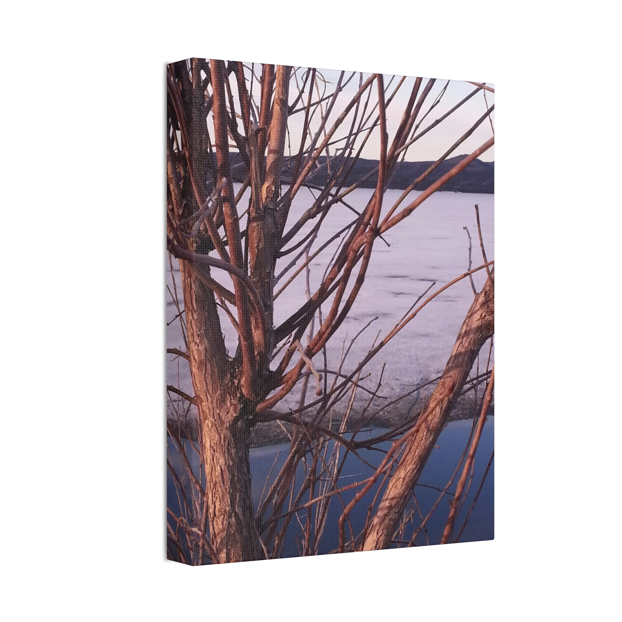 Primal Frost | Frozen Shoreline Wall Art | The Inspiration Collection