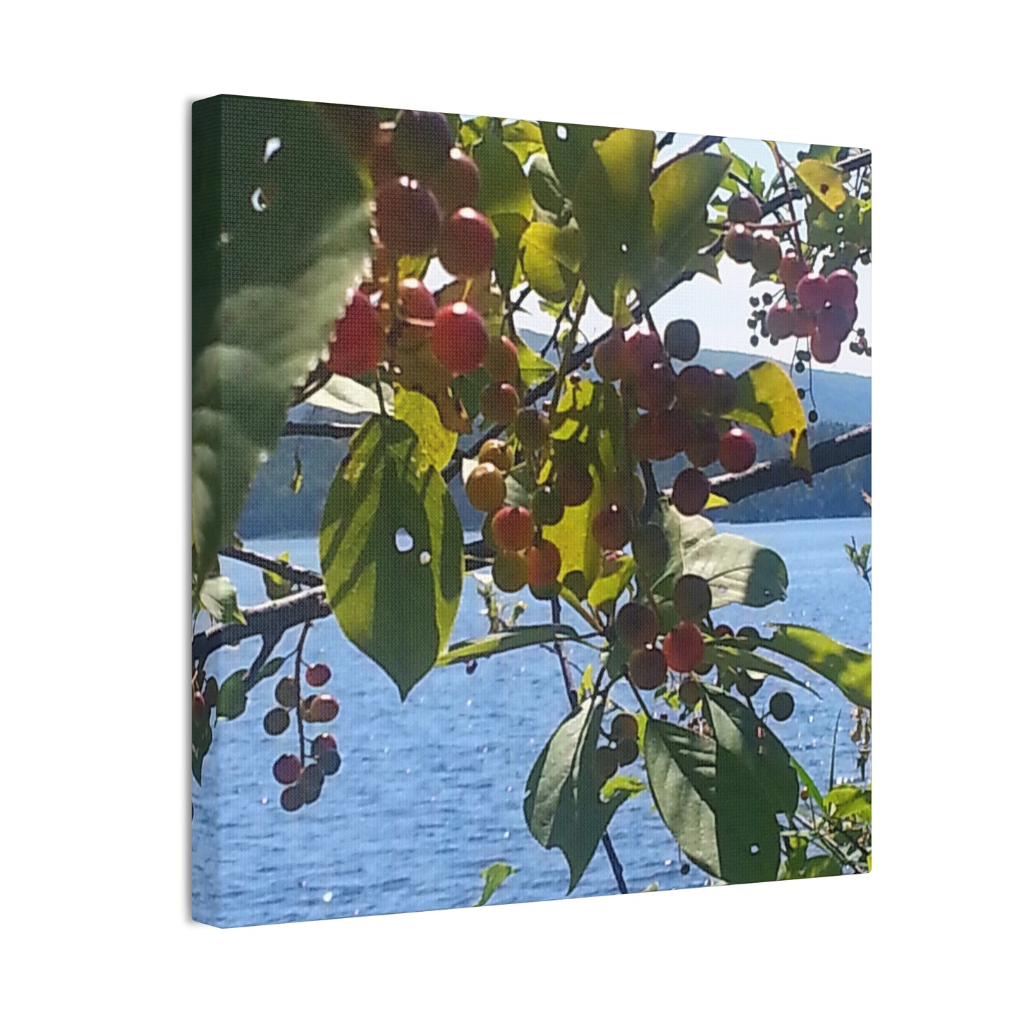 Nature-Inspired Canvases from an #originalphotograph of a Scenic Berry Branch - 0.75" Stretched Nature Wall Decor