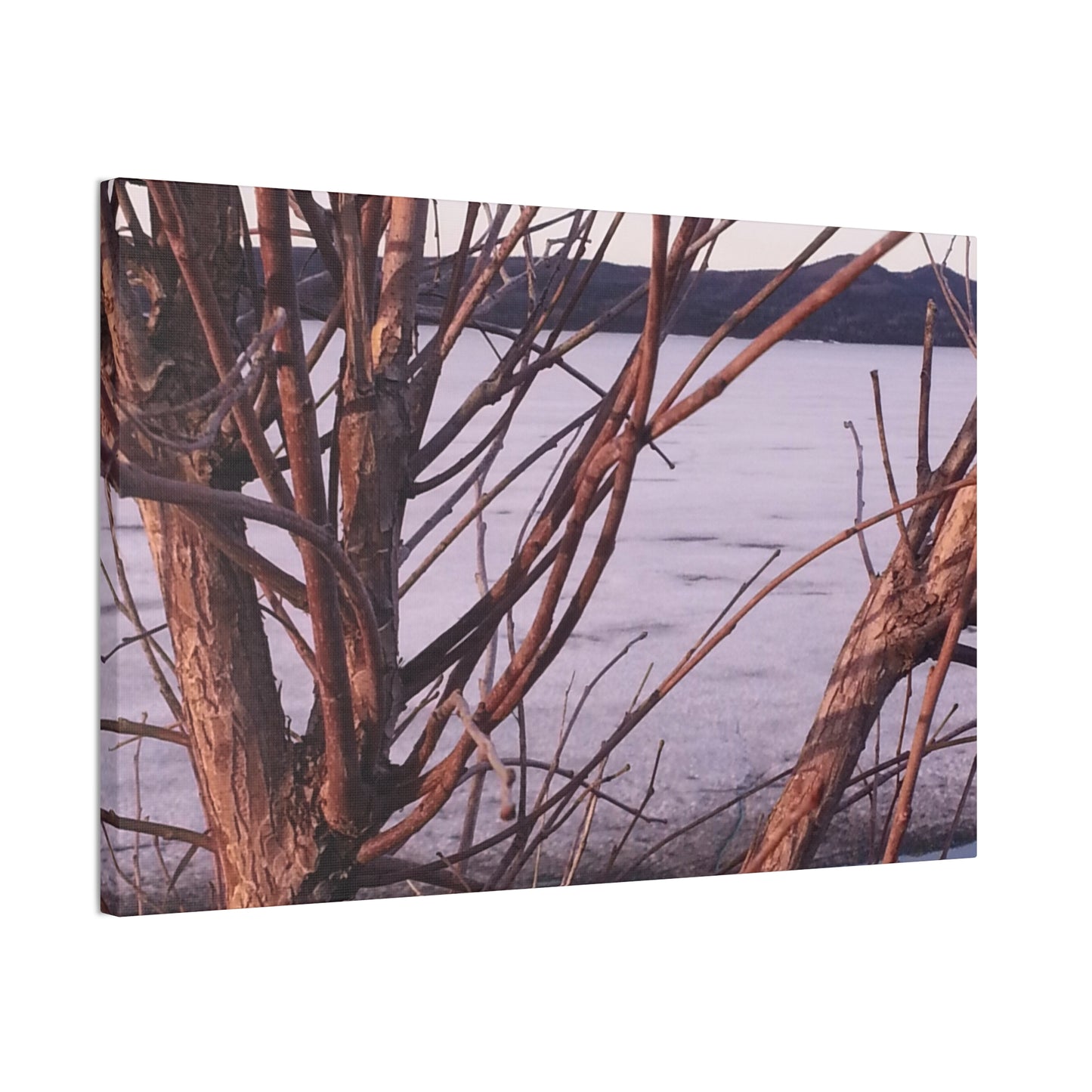 Nature-Inspired Canvases from an #originalphotograph of a Serene Lakeview with Bare Trees - 0.75" Stretched Nature Wall Decor