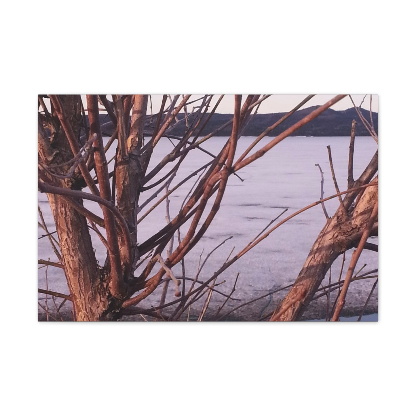Nature-Inspired Canvases from an #originalphotograph of a Serene Lakeview with Bare Trees - 0.75" Stretched Nature Wall Decor