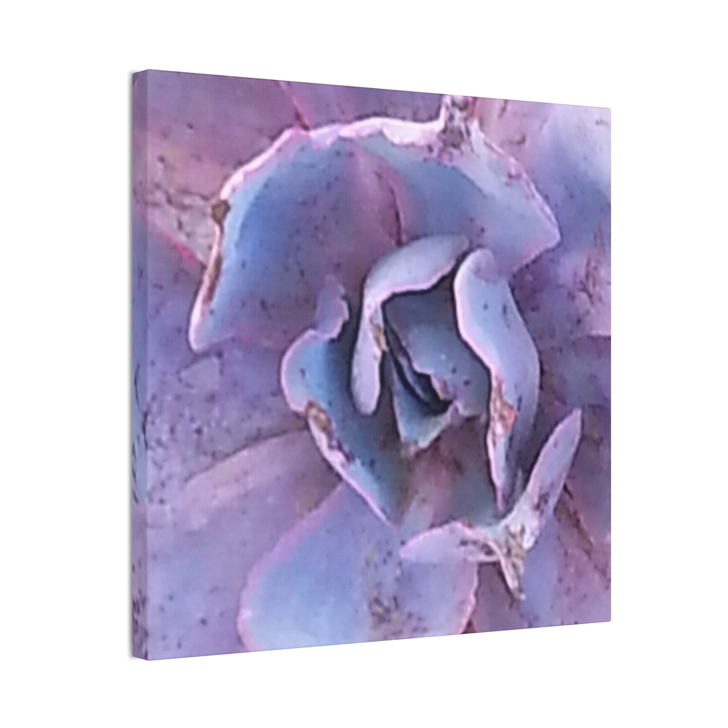 Nature-Inspired Canvases from an #originalphotograph of a botanical from #theGetty - 0.75" Stretched Nature Wall Decor