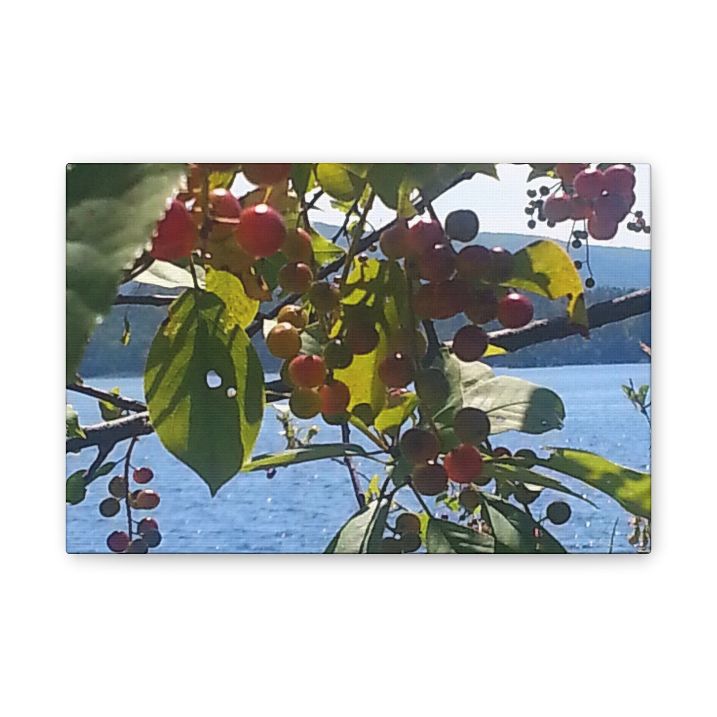 Nature-Inspired Canvases from an #originalphotograph of a Scenic Berry Branch - 0.75" Stretched Nature Wall Decor