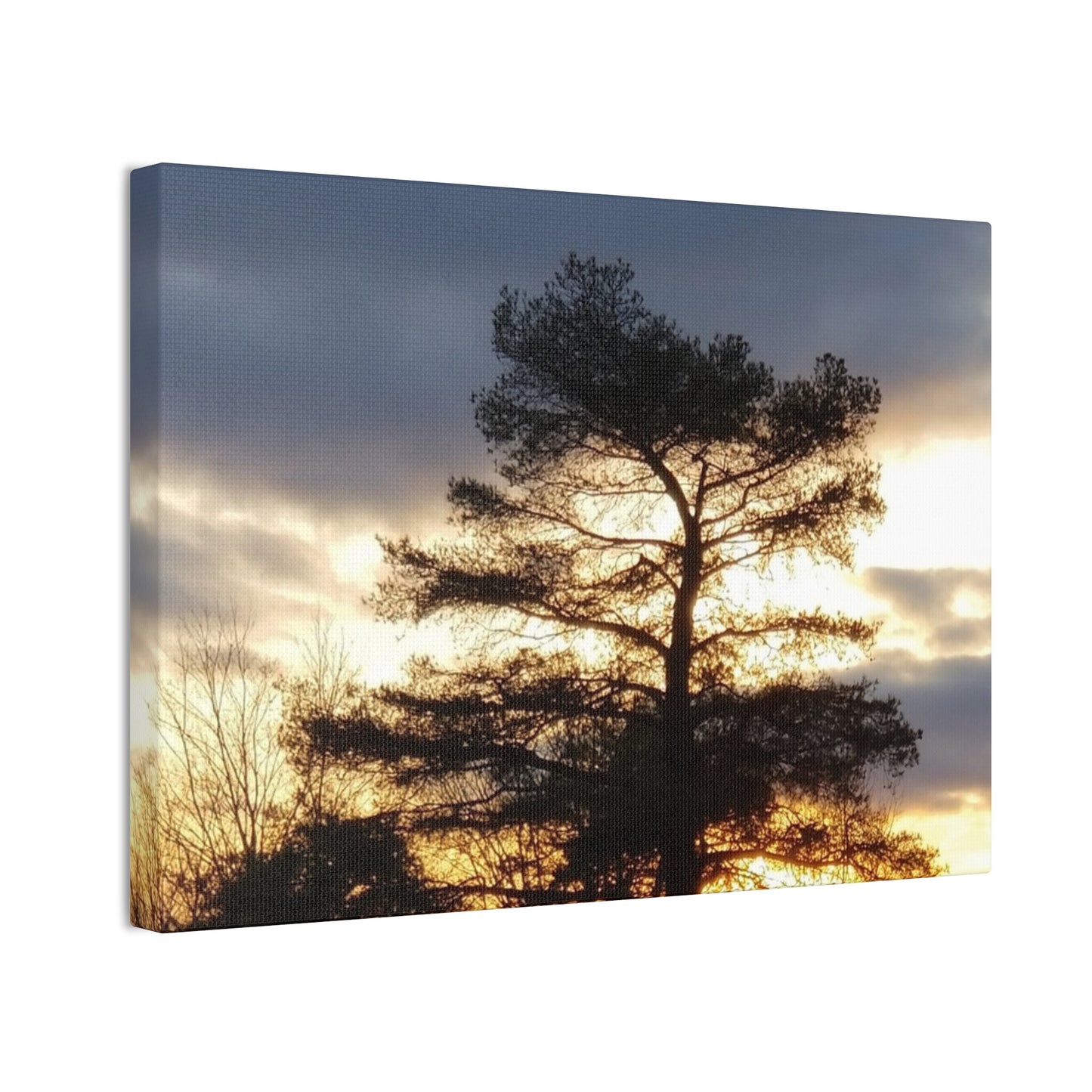 Nature-Inspired Canvases from an #originalphotograph of a Sunset Tree - 0.75" Stretched Nature Wall Decor