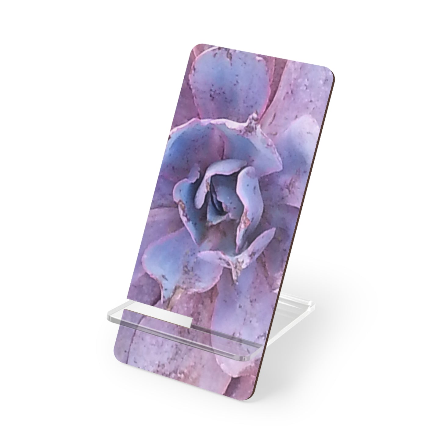 Nature-Inspired Mobile Display Stand with #originalphotograph of a succulent from #theGettyMuseum Garden