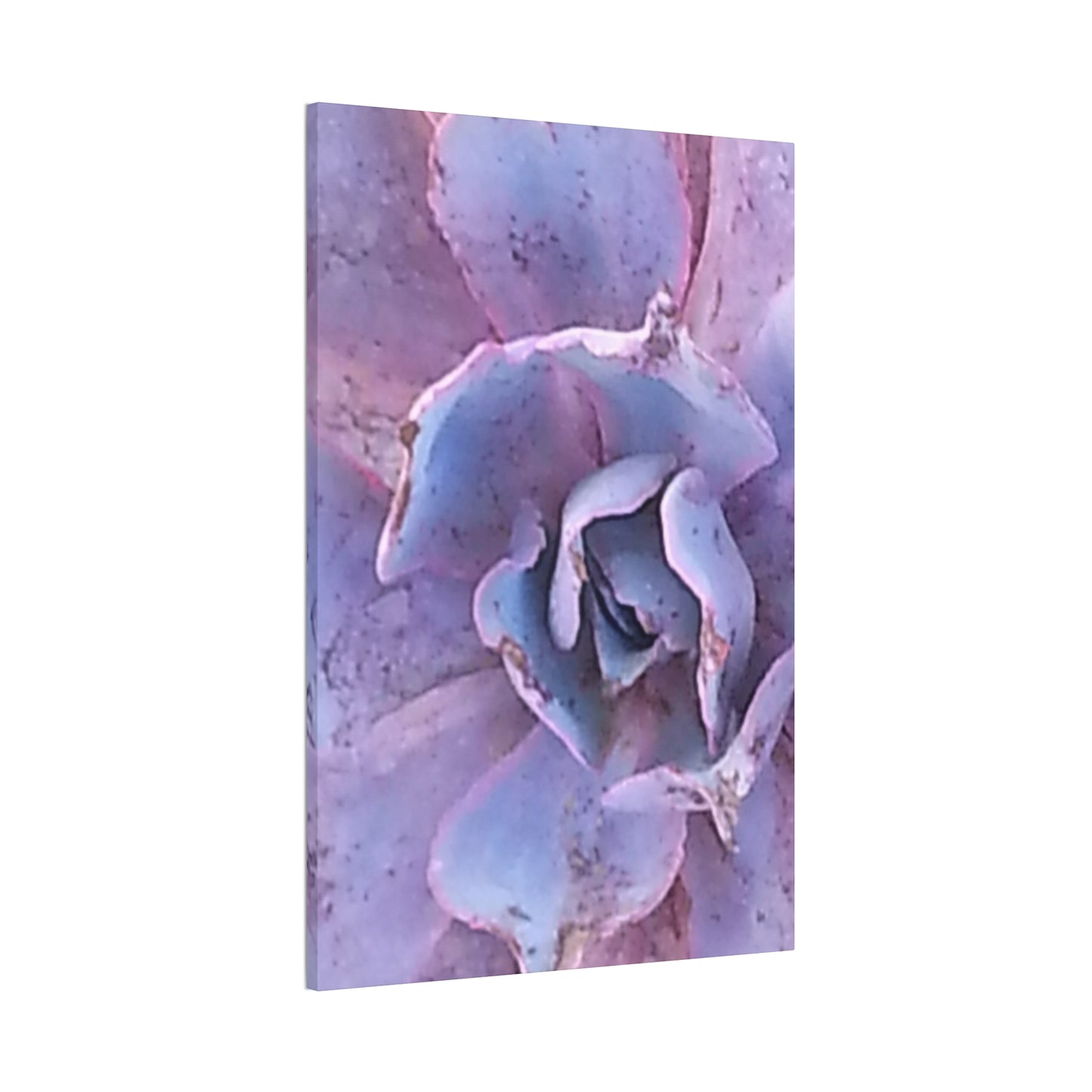 Nature-Inspired Canvases from an #originalphotograph of a botanical from #theGetty - 0.75" Stretched Nature Wall Decor
