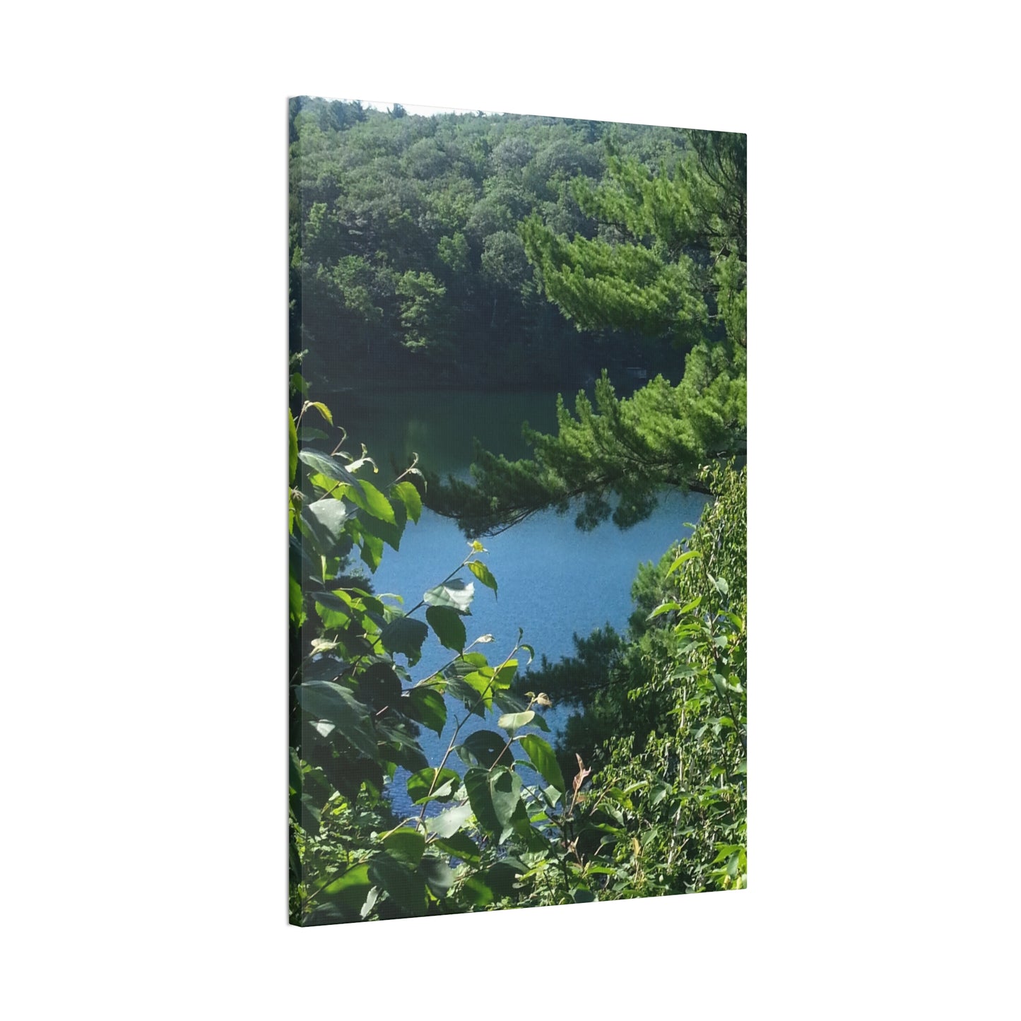 Nature-Inspired Canvases from an #originalphotograph of #PinkLake in Ontario - 0.75" Stretched Nature Wall Decor