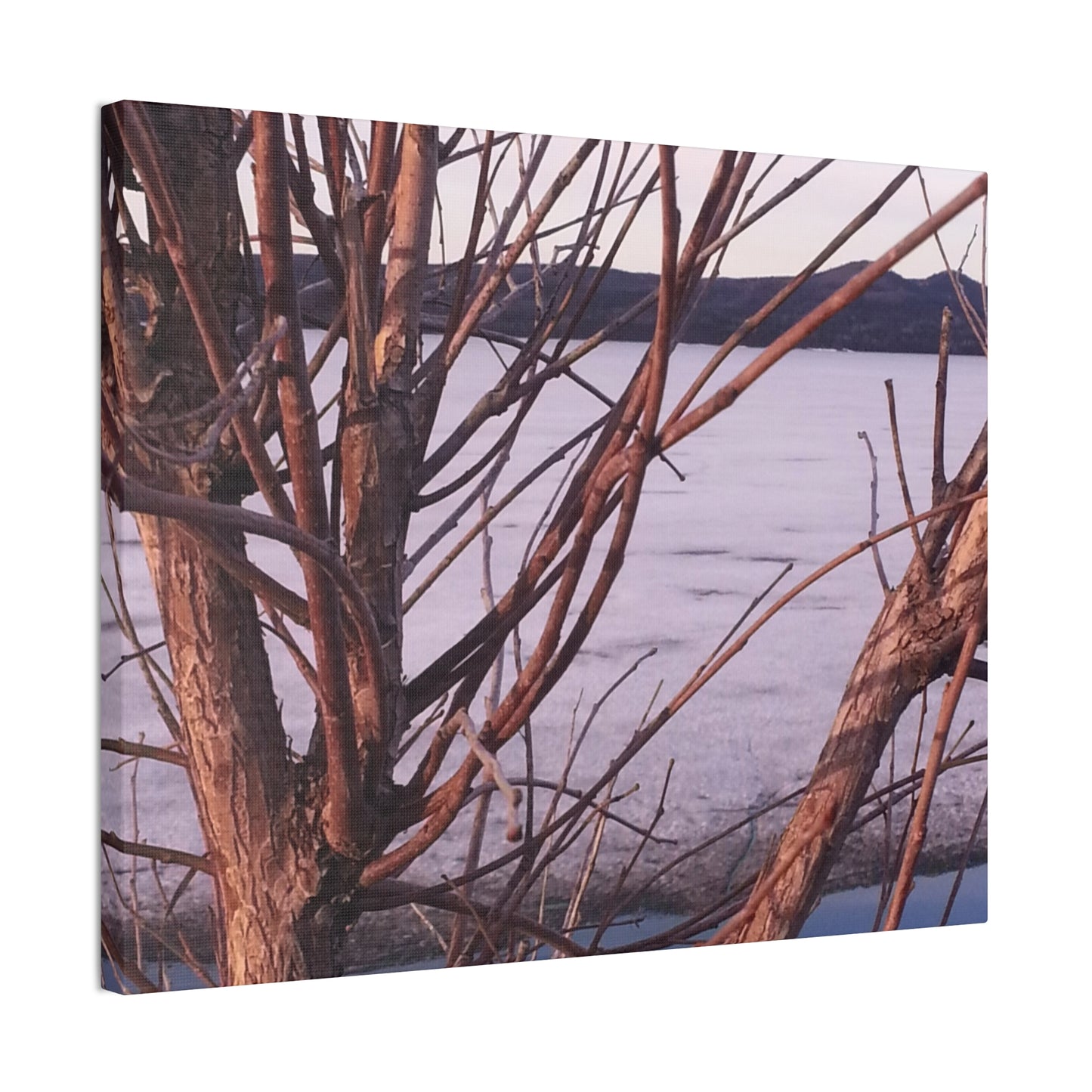 Nature-Inspired Canvases from an #originalphotograph of a Serene Lakeview with Bare Trees - 0.75" Stretched Nature Wall Decor