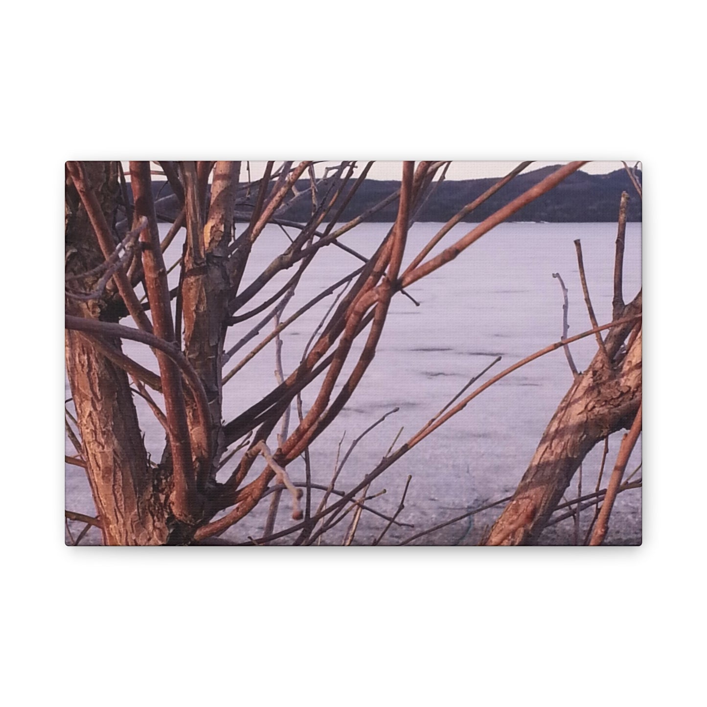 Nature-Inspired Canvases from an #originalphotograph of a Serene Lakeview with Bare Trees - 0.75" Stretched Nature Wall Decor