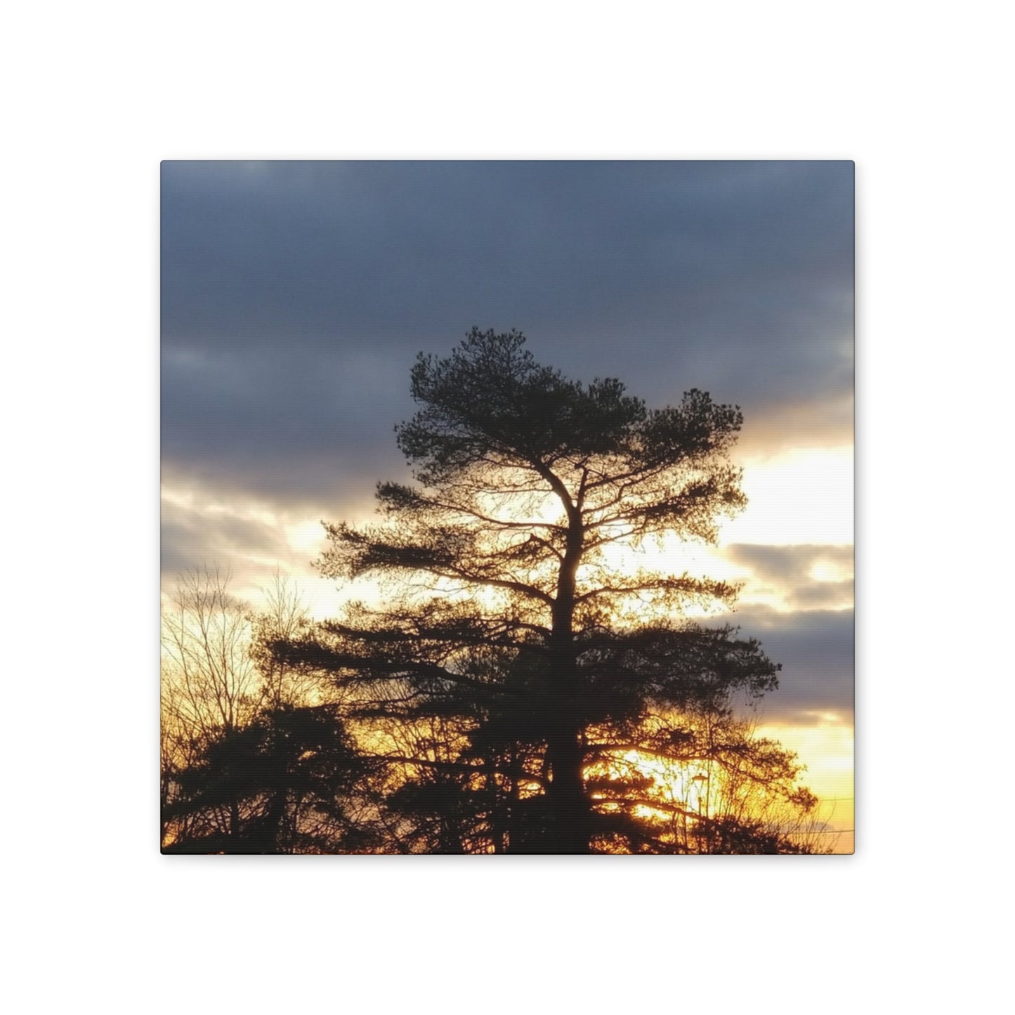 Nature-Inspired Canvases from an #originalphotograph of a Sunset Tree - 0.75" Stretched Nature Wall Decor