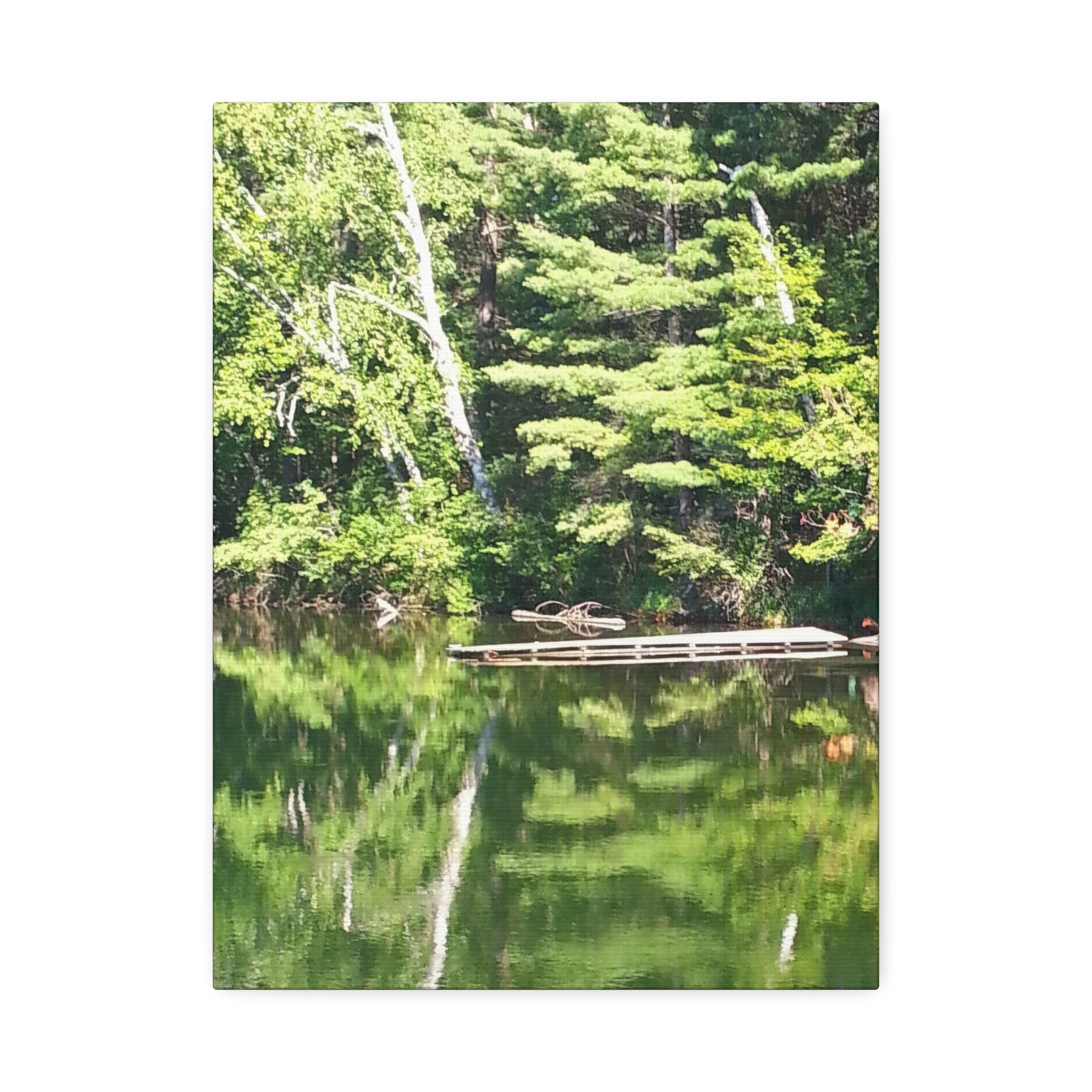 Echoed Stillness | Sheltered Green Lake Wall Art | The Nurture Collection