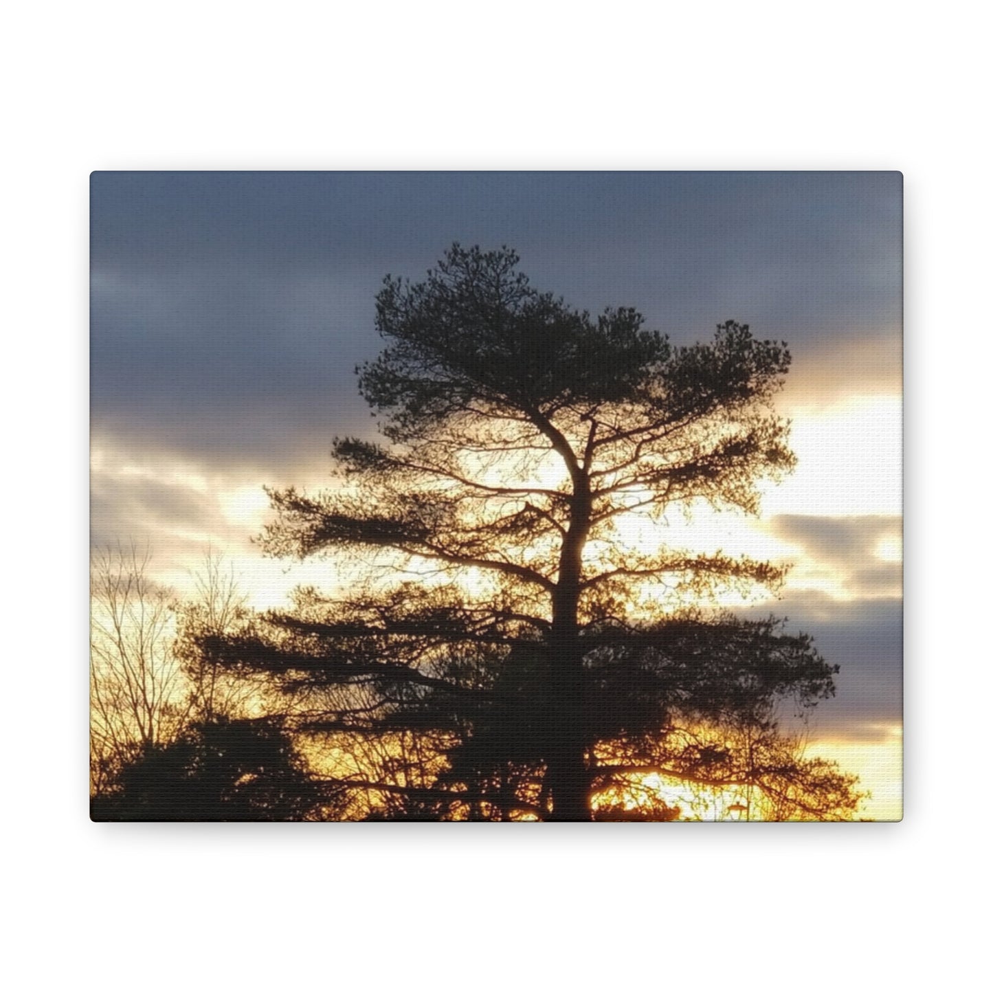 Nature-Inspired Canvases from an #originalphotograph of a Sunset Tree - 0.75" Stretched Nature Wall Decor