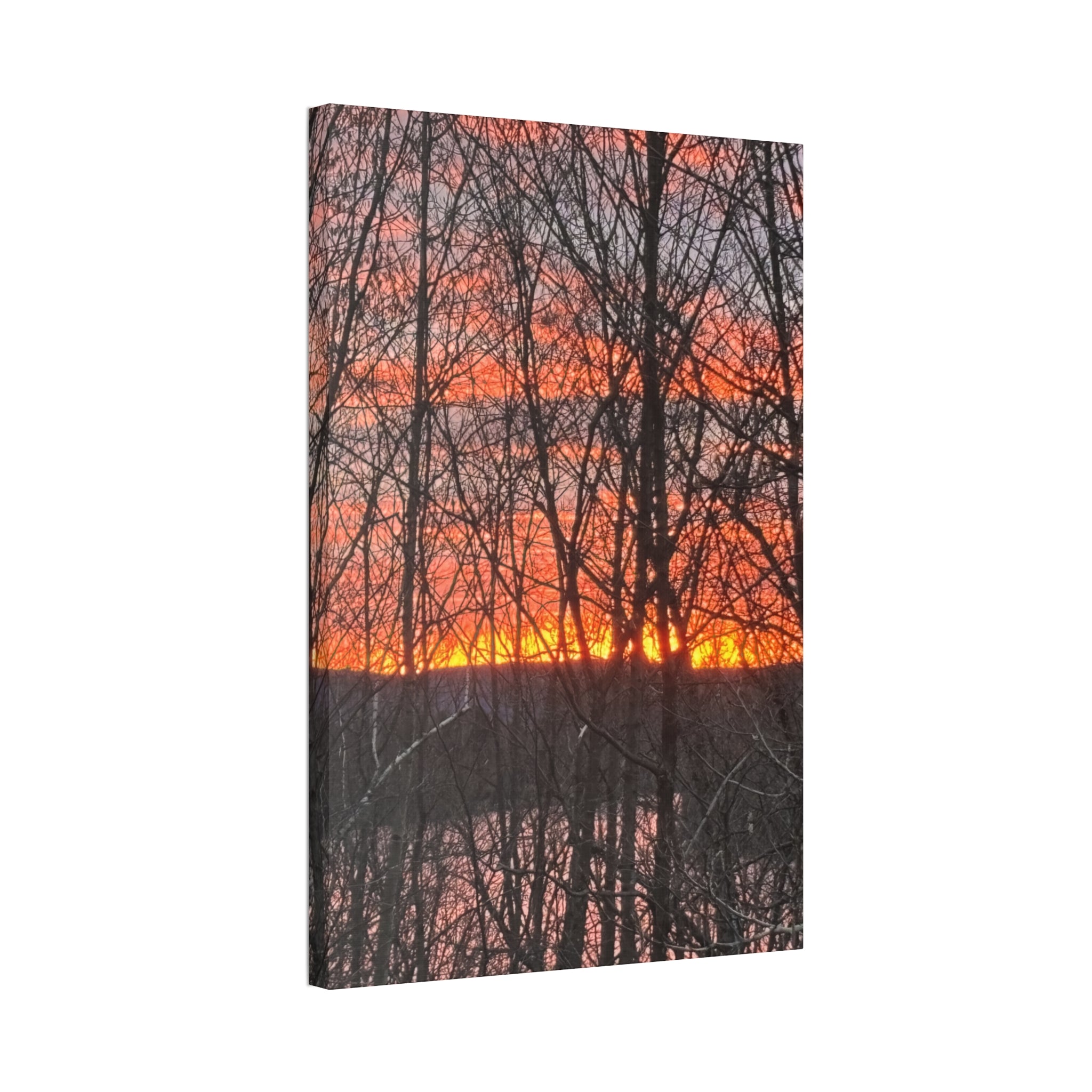 Gilded Forest | Sun-Drenched Timber Wall Art | The Nurture Collection