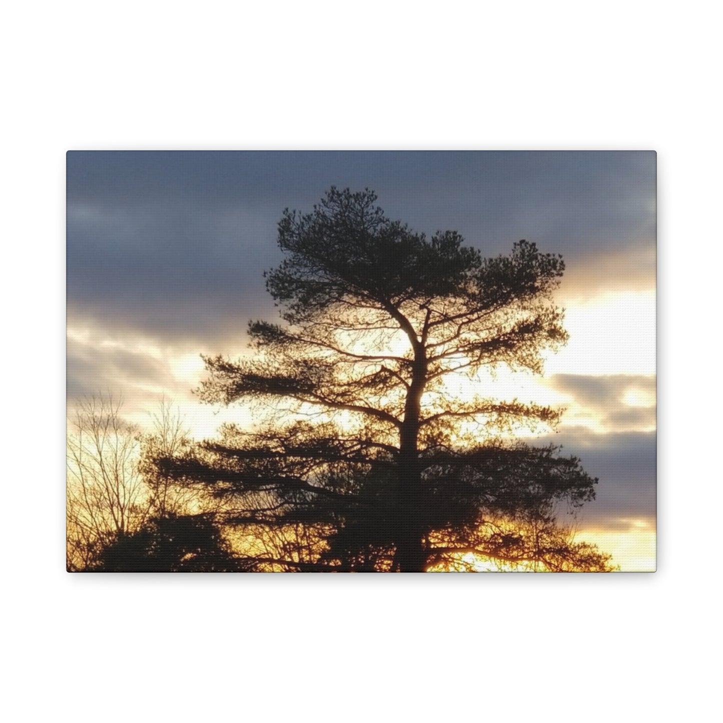 Nature-Inspired Canvases from an #originalphotograph of a Sunset Tree - 0.75" Stretched Nature Wall Decor