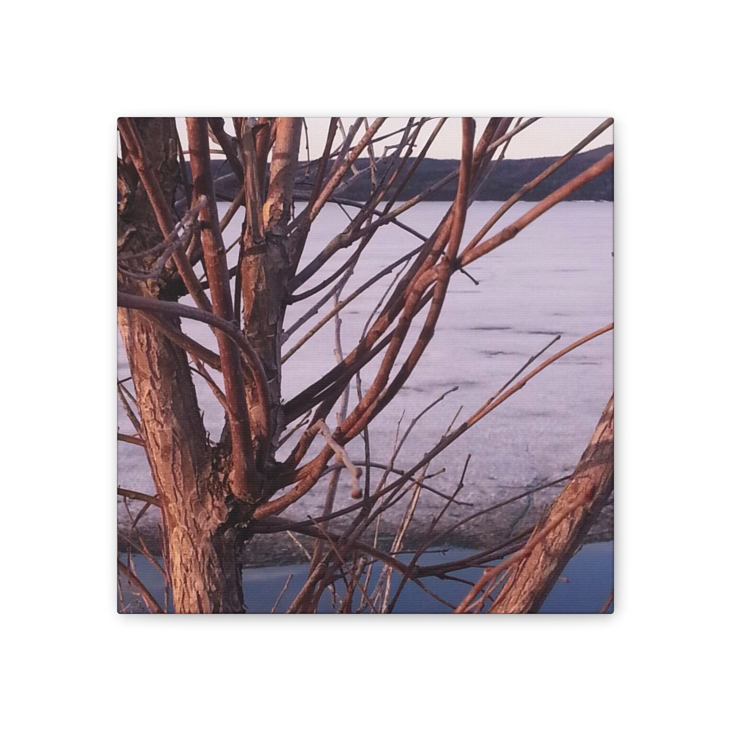 Nature-Inspired Canvases from an #originalphotograph of a Serene Lakeview with Bare Trees - 0.75" Stretched Nature Wall Decor