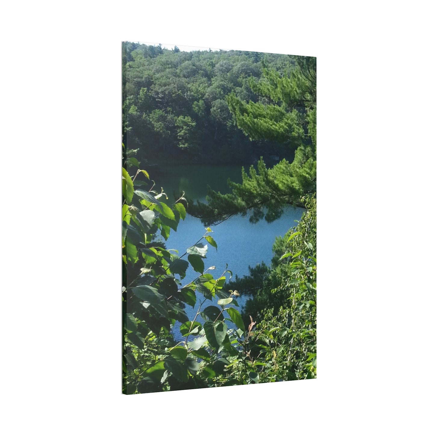 Nature-Inspired Canvases from an #originalphotograph of #PinkLake in Ontario - 0.75" Stretched Nature Wall Decor