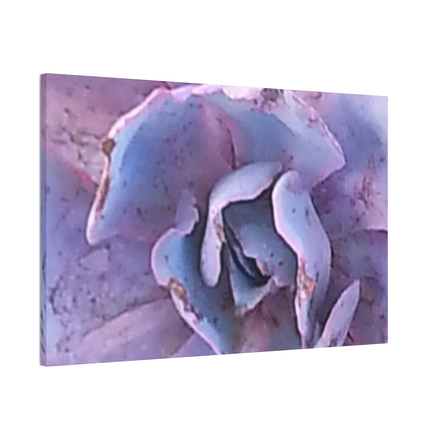 Nature-Inspired Canvases from an #originalphotograph of a botanical from #theGetty - 0.75" Stretched Nature Wall Decor