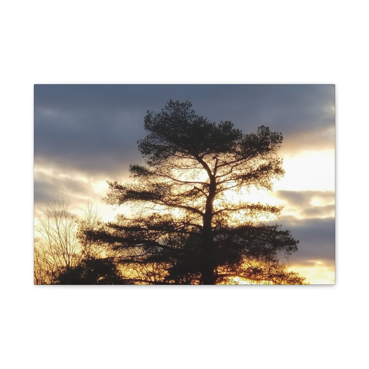 Nature-Inspired Canvases from an #originalphotograph of a Sunset Tree - 0.75" Stretched Nature Wall Decor