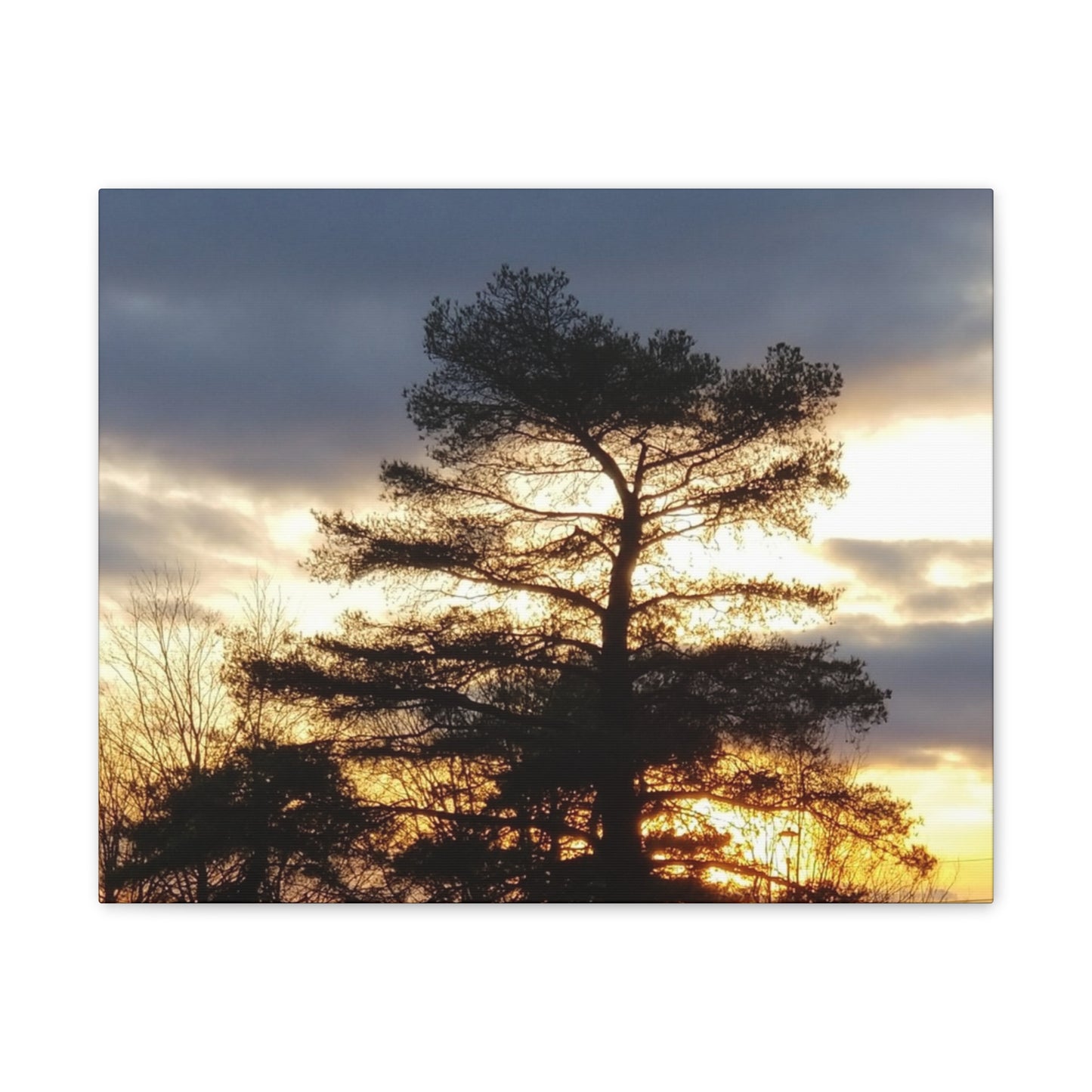 Nature-Inspired Canvases from an #originalphotograph of a Sunset Tree - 0.75" Stretched Nature Wall Decor