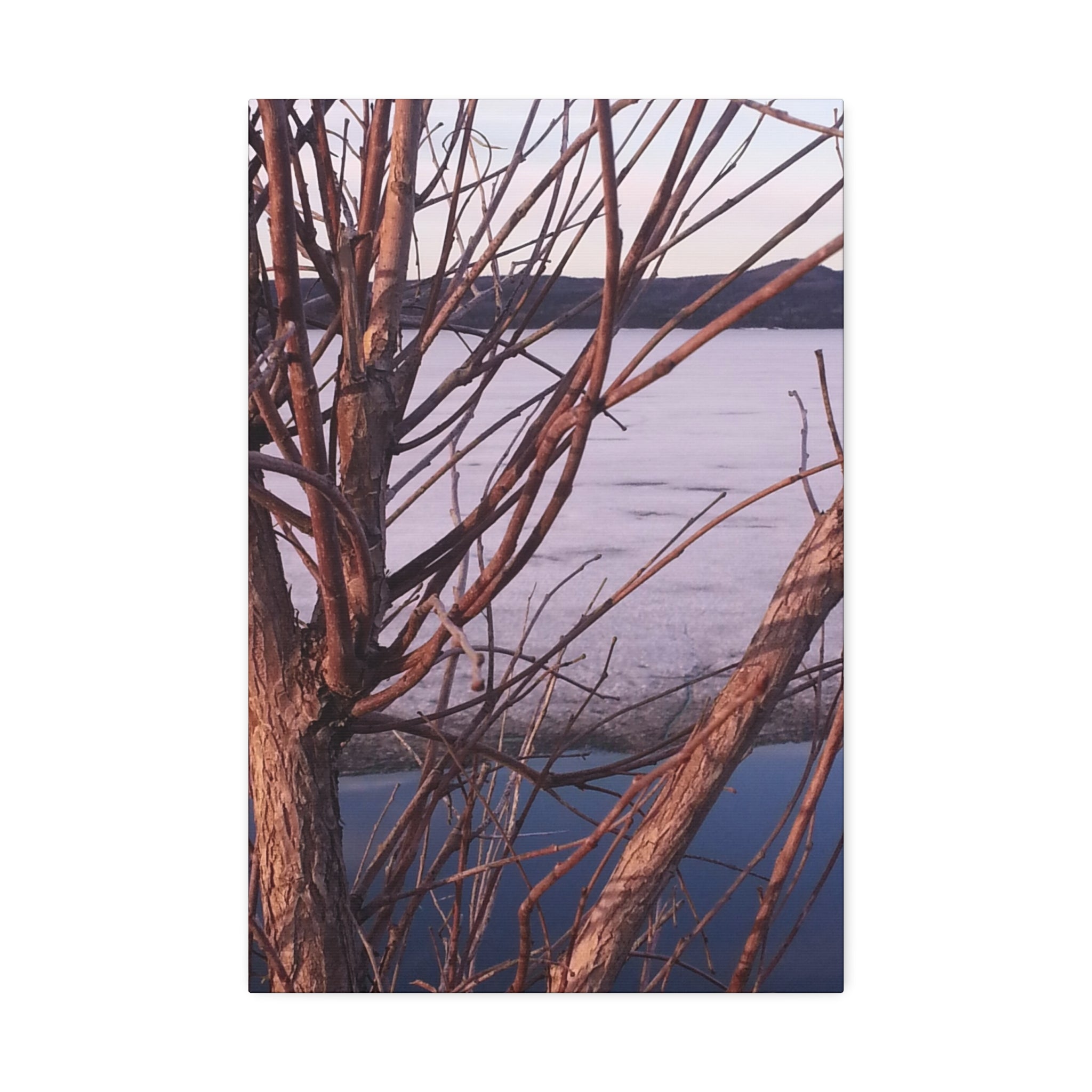 Primal Frost | Frozen Shoreline Wall Art | The Inspiration Collection