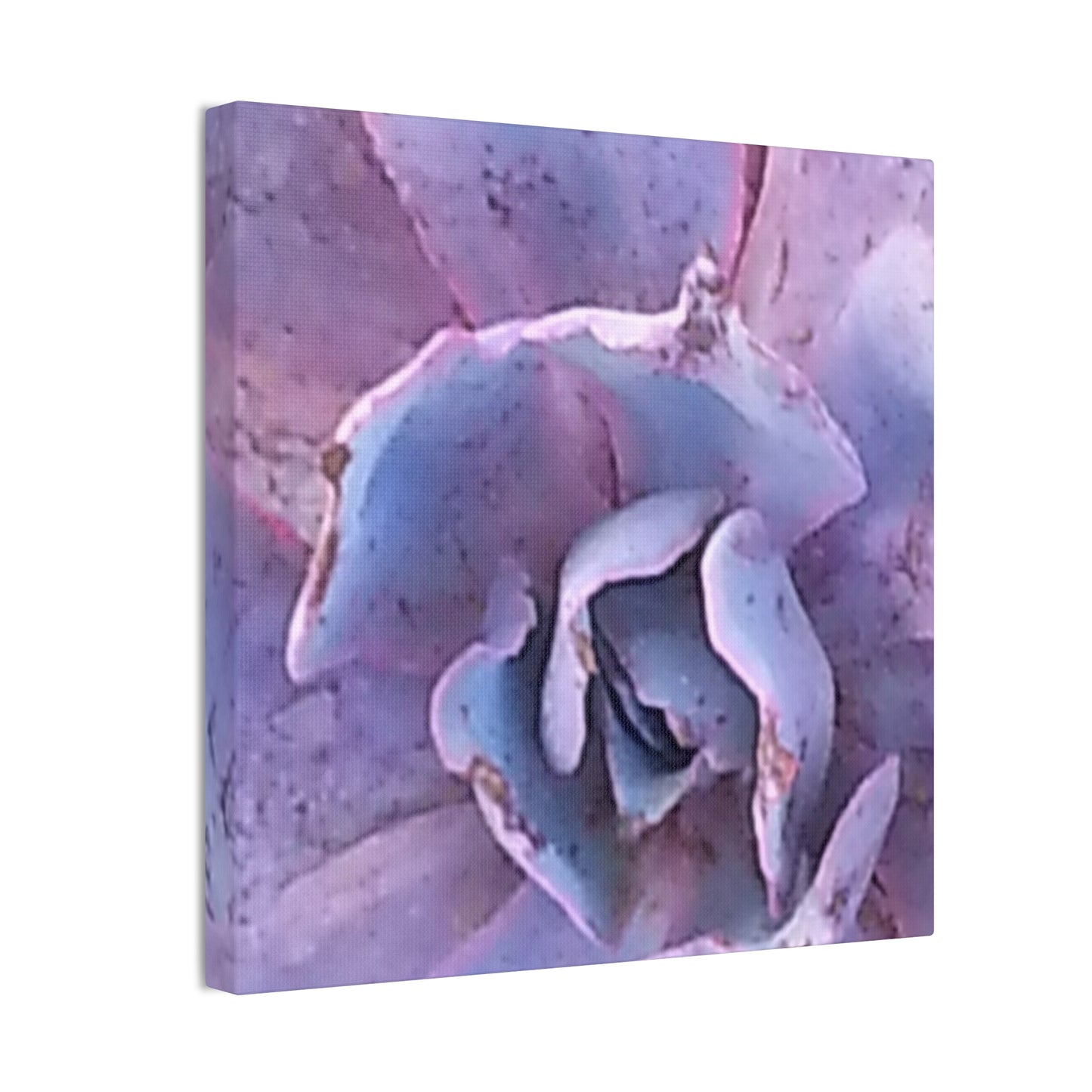 Nature-Inspired Canvases from an #originalphotograph of a botanical from #theGetty - 0.75" Stretched Nature Wall Decor