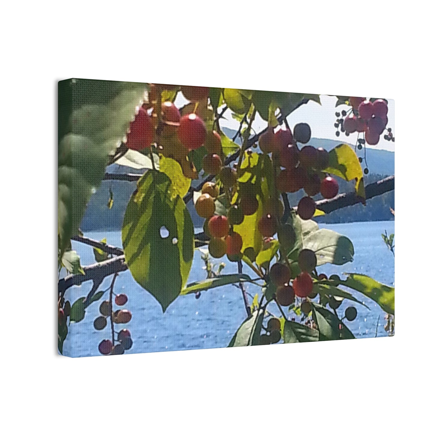 Nature-Inspired Canvases from an #originalphotograph of a Scenic Berry Branch - 0.75" Stretched Nature Wall Decor