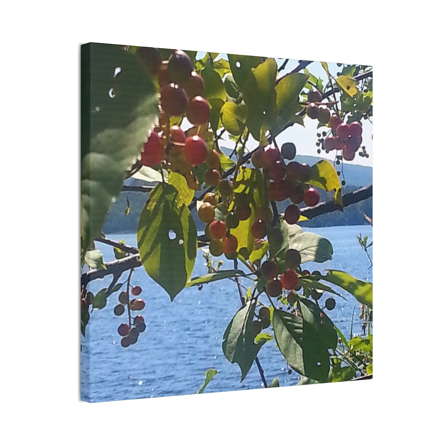 Nature-Inspired Canvases from an #originalphotograph of a Scenic Berry Branch - 0.75" Stretched Nature Wall Decor