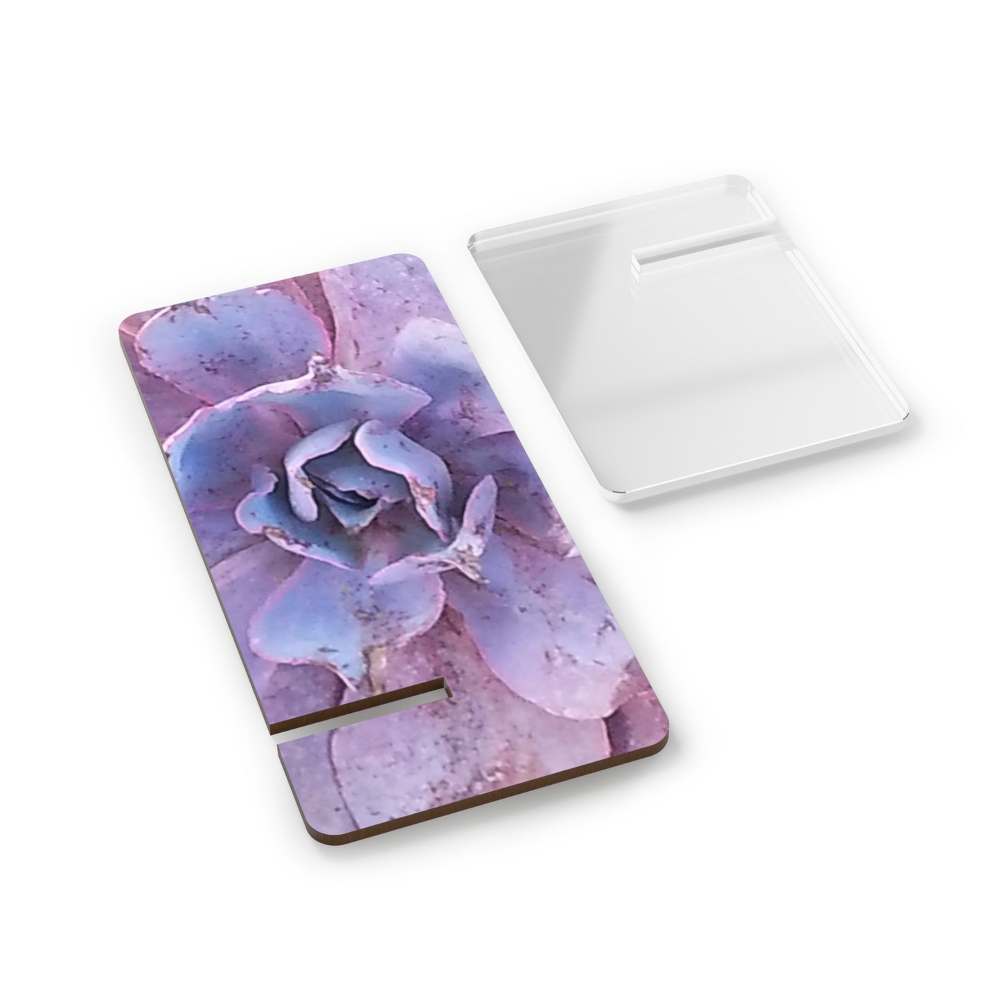 Nature-Inspired Mobile Display Stand with #originalphotograph of a succulent from #theGettyMuseum Garden