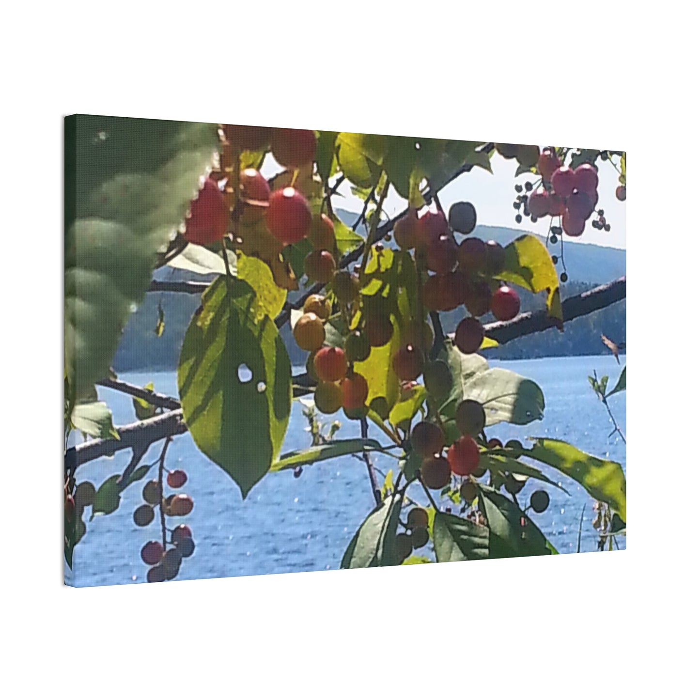 Nature-Inspired Canvases from an #originalphotograph of a Scenic Berry Branch - 0.75" Stretched Nature Wall Decor