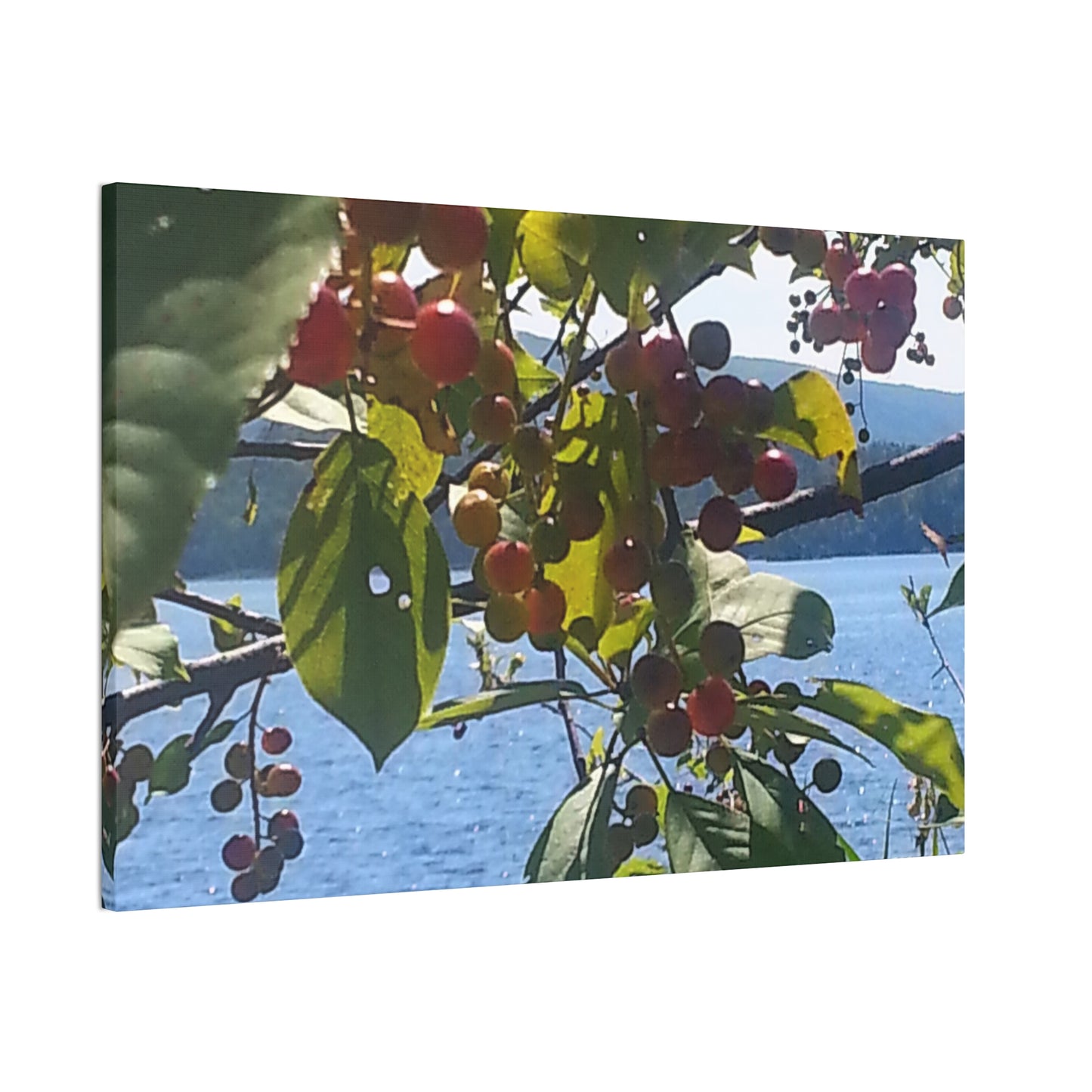 Nature-Inspired Canvases from an #originalphotograph of a Scenic Berry Branch - 0.75" Stretched Nature Wall Decor