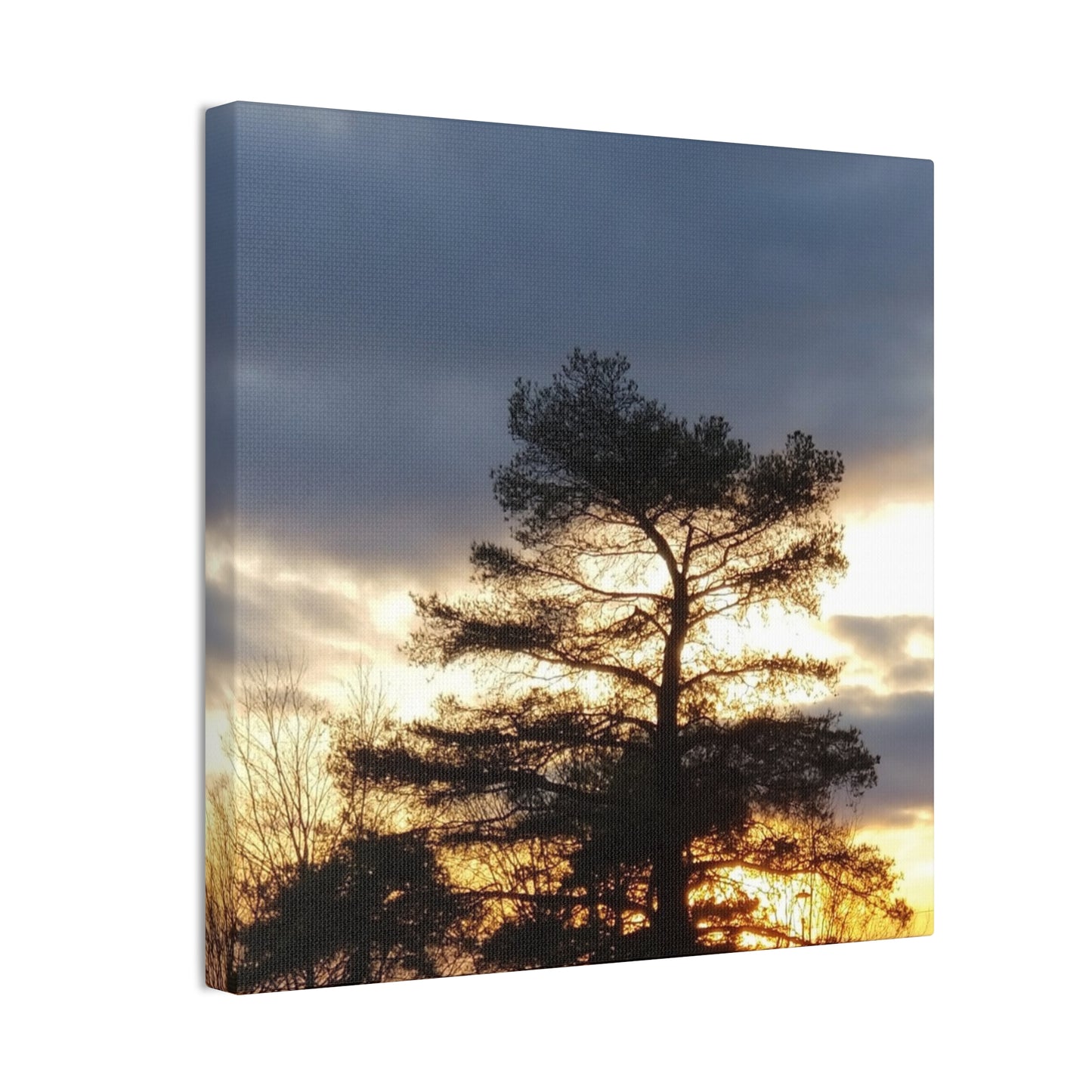 Nature-Inspired Canvases from an #originalphotograph of a Sunset Tree - 0.75" Stretched Nature Wall Decor