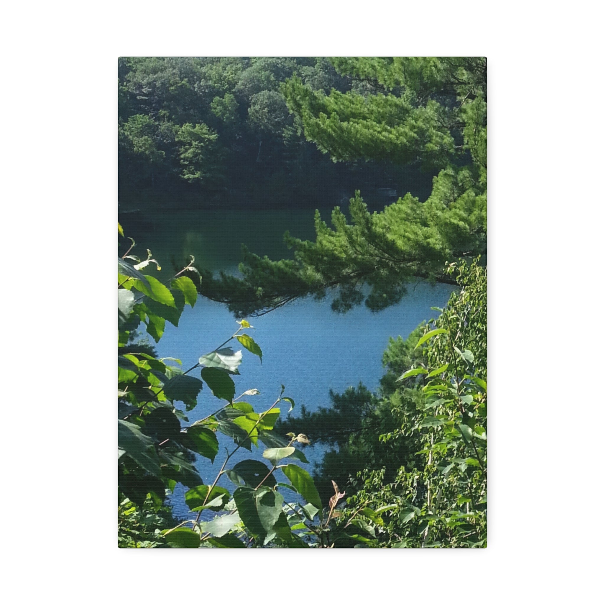 Lakeside Root | Still Water Reflection Wall Art | The Rooted Collection