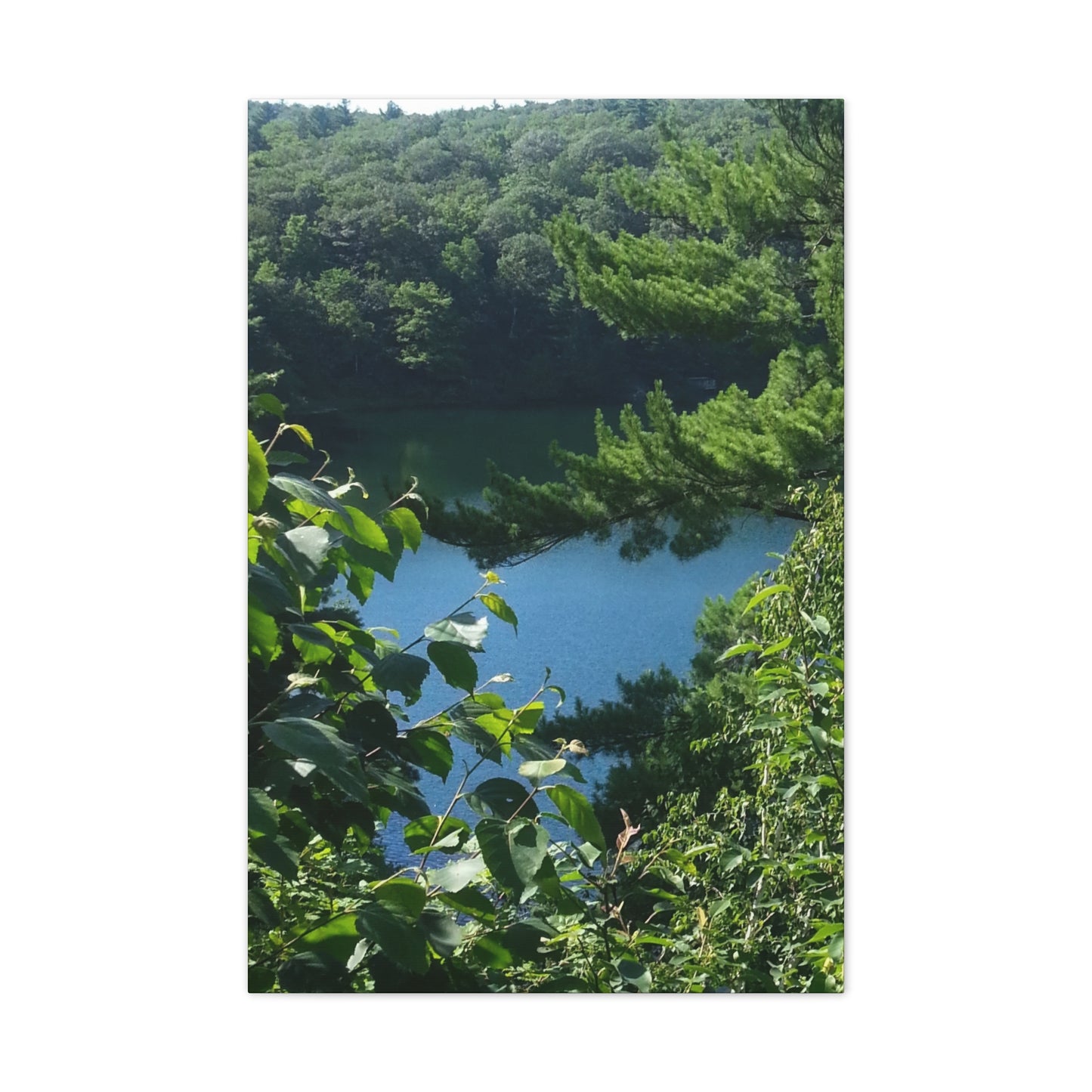Nature-Inspired Canvases from an #originalphotograph of #PinkLake in Ontario - 0.75" Stretched Nature Wall Decor
