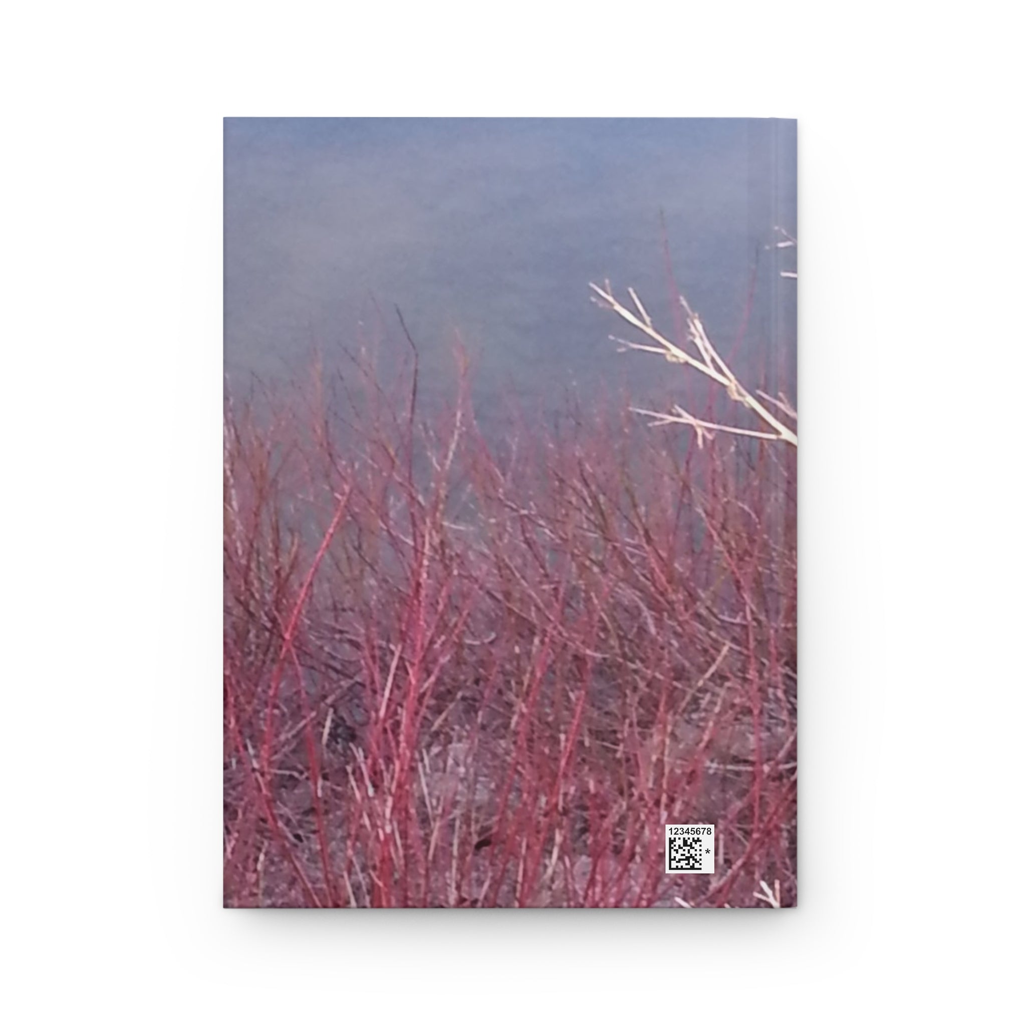 Creative Spark | Abstract Coral Fluidity Nature Journal | The Rooted Collection