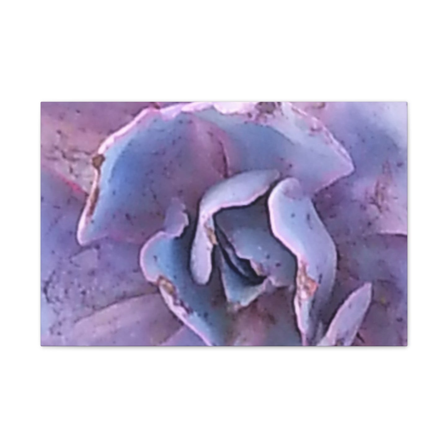 Nature-Inspired Canvases from an #originalphotograph of a botanical from #theGetty - 0.75" Stretched Nature Wall Decor