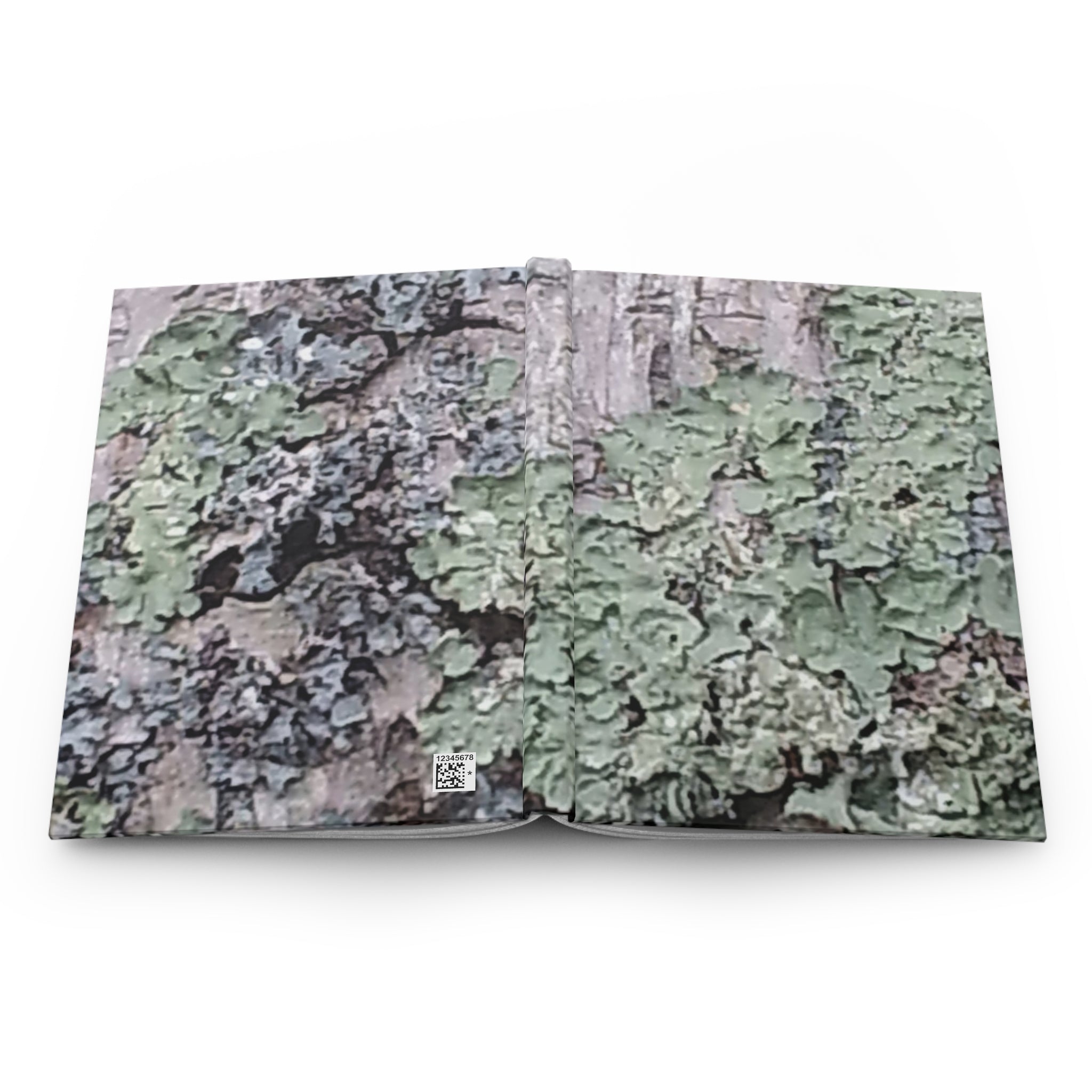 Organic Lichen | Nature Journal | The Rooted Collection