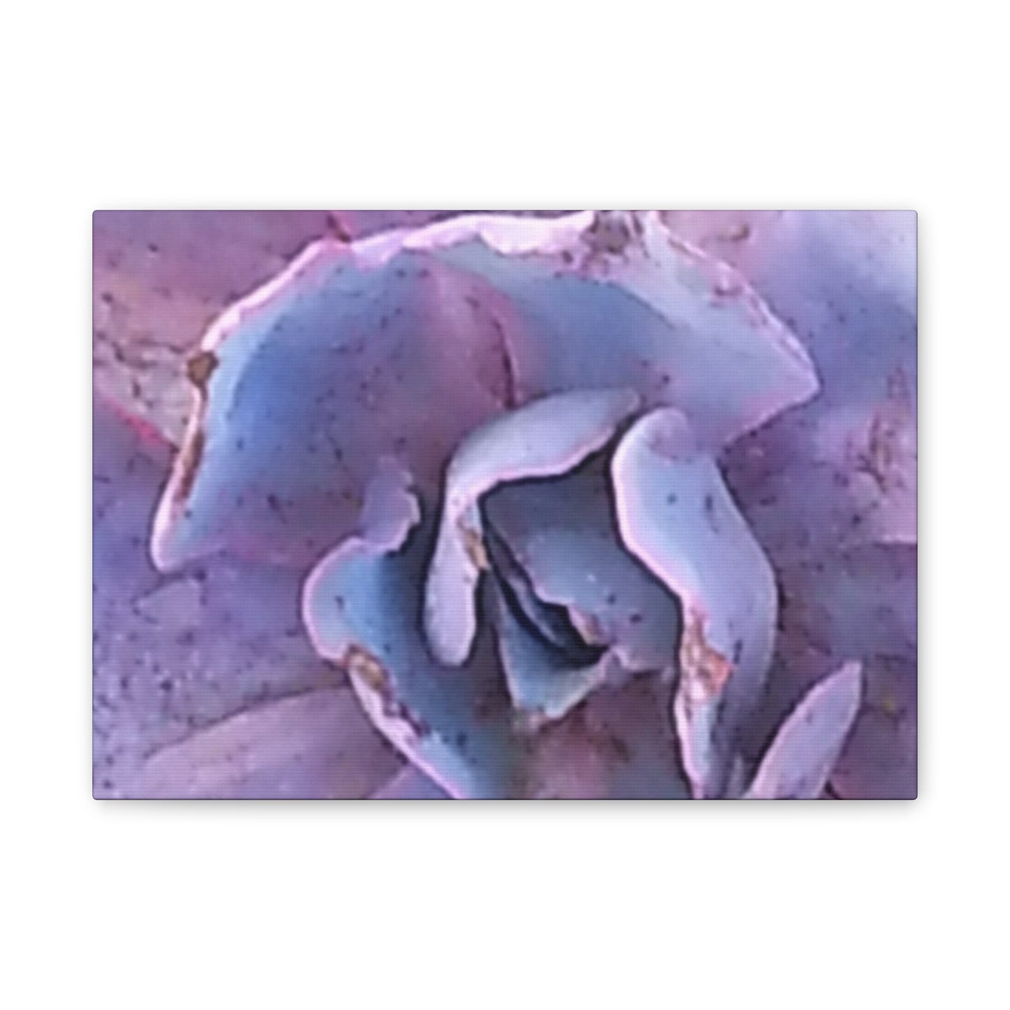 Nature-Inspired Canvases from an #originalphotograph of a botanical from #theGetty - 0.75" Stretched Nature Wall Decor