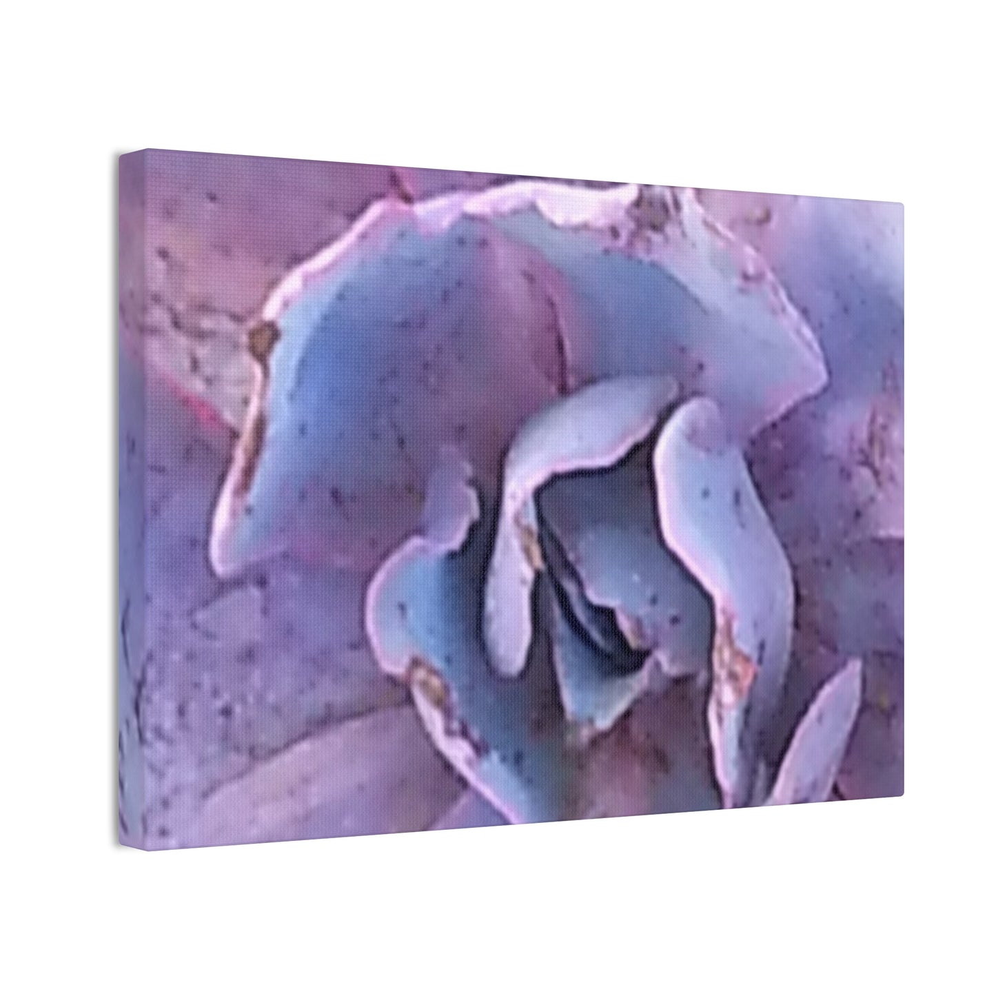 Nature-Inspired Canvases from an #originalphotograph of a botanical from #theGetty - 0.75" Stretched Nature Wall Decor