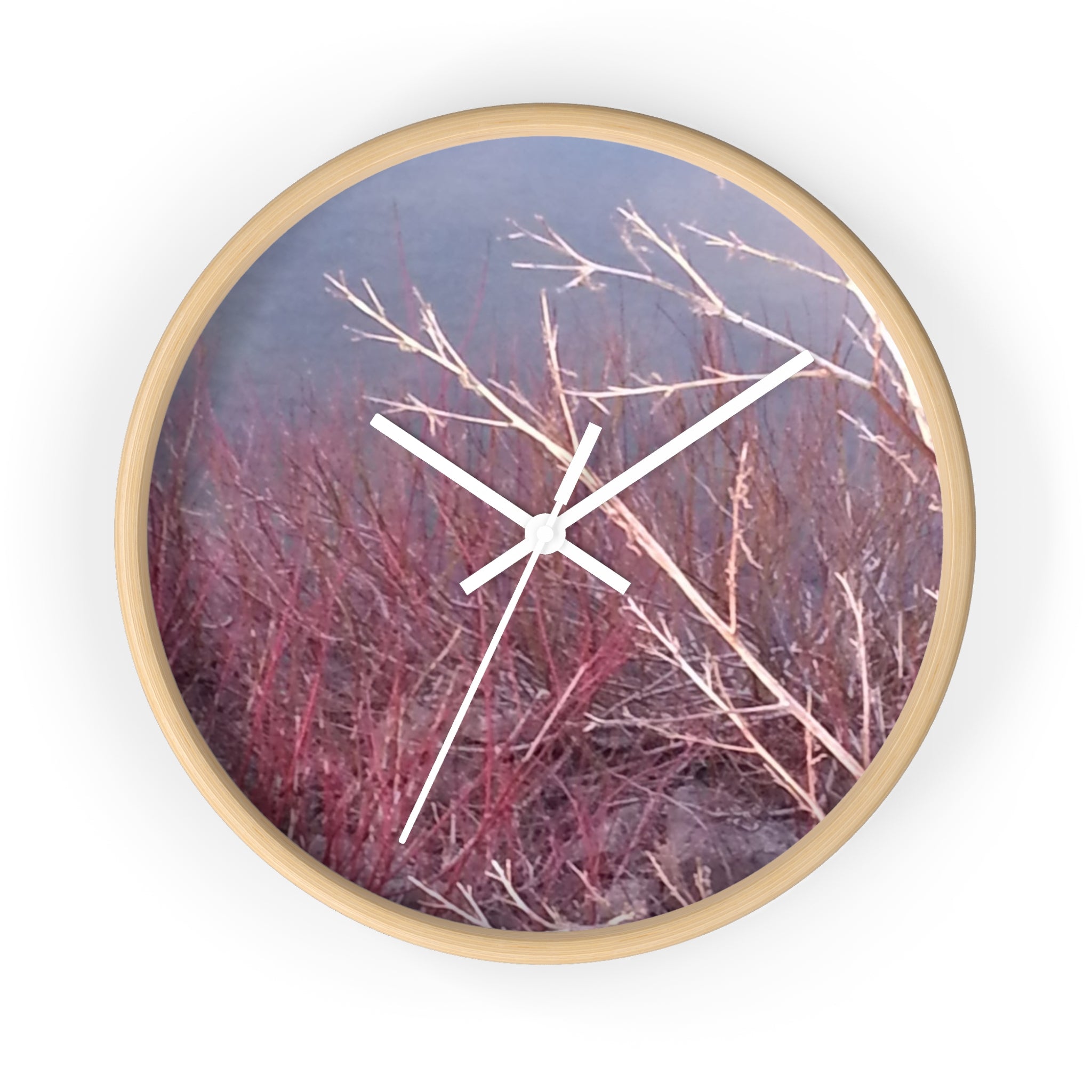 Vibrant Chronos | Radiant Scarlet Growth Silent Wall Clock | The Inspiration Collection
