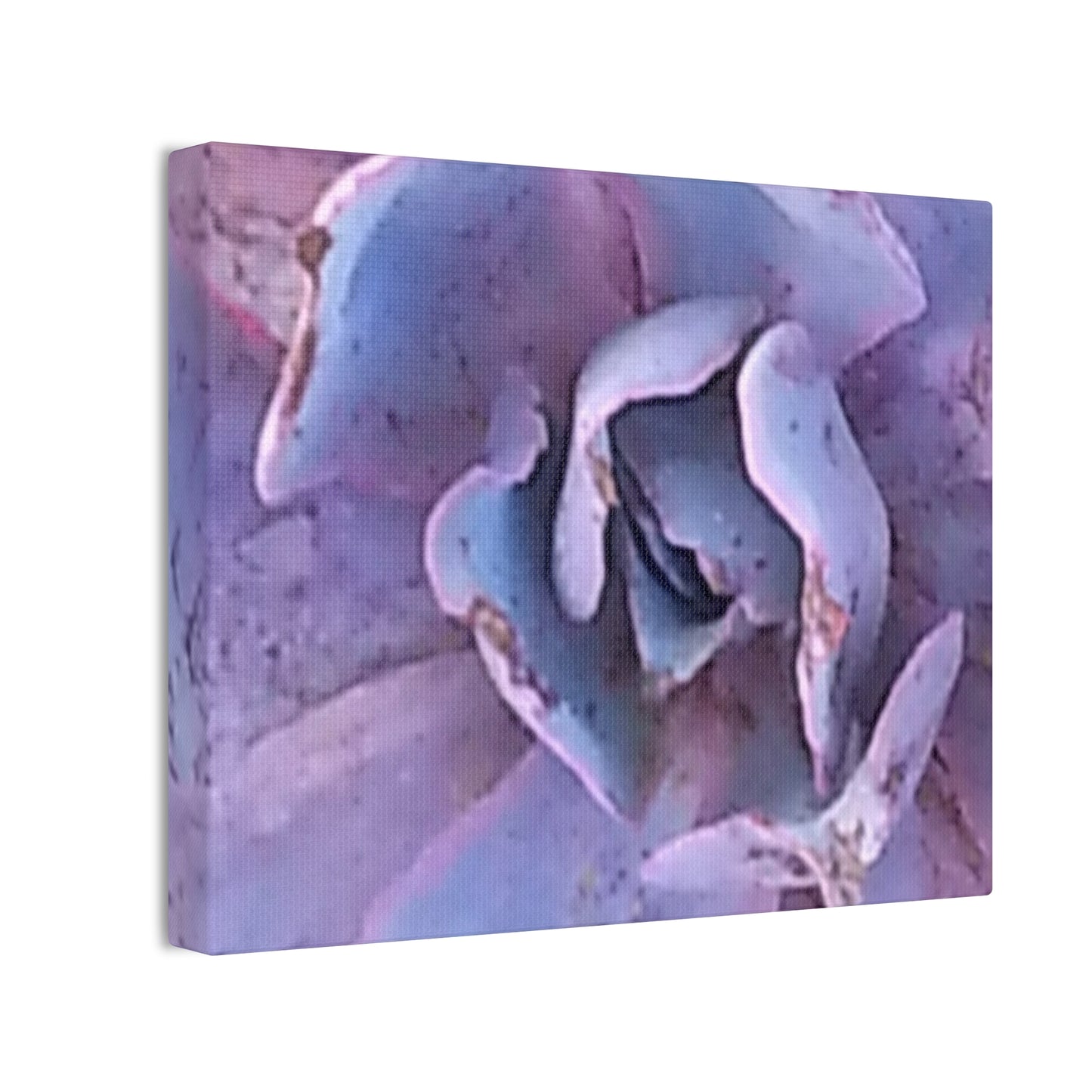Nature-Inspired Canvases from an #originalphotograph of a botanical from #theGetty - 0.75" Stretched Nature Wall Decor