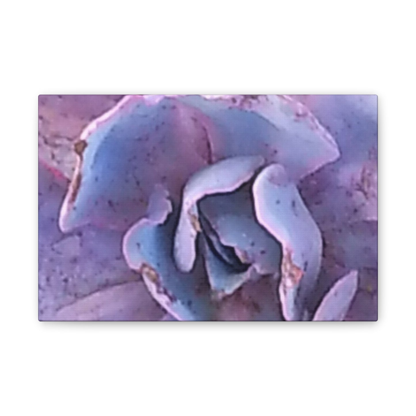 Nature-Inspired Canvases from an #originalphotograph of a botanical from #theGetty - 0.75" Stretched Nature Wall Decor