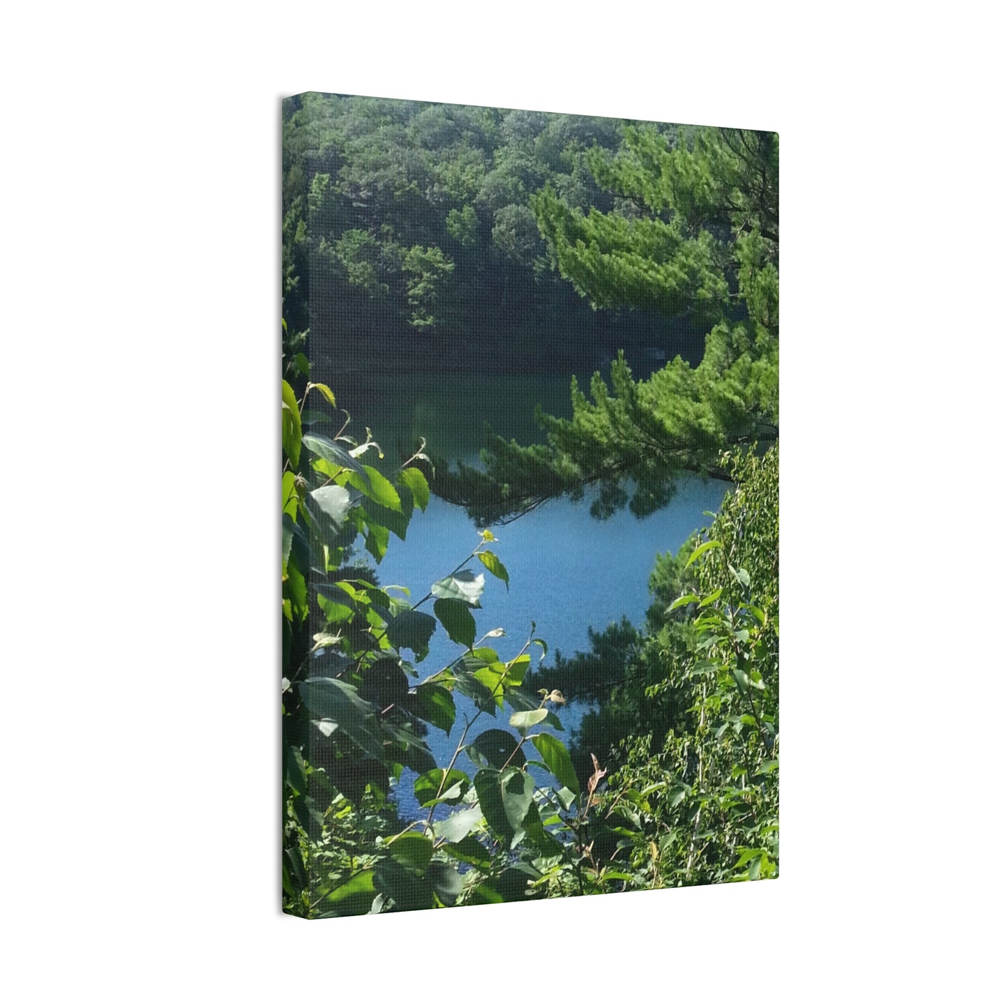 Nature-Inspired Canvases from an #originalphotograph of #PinkLake in Ontario - 0.75" Stretched Nature Wall Decor