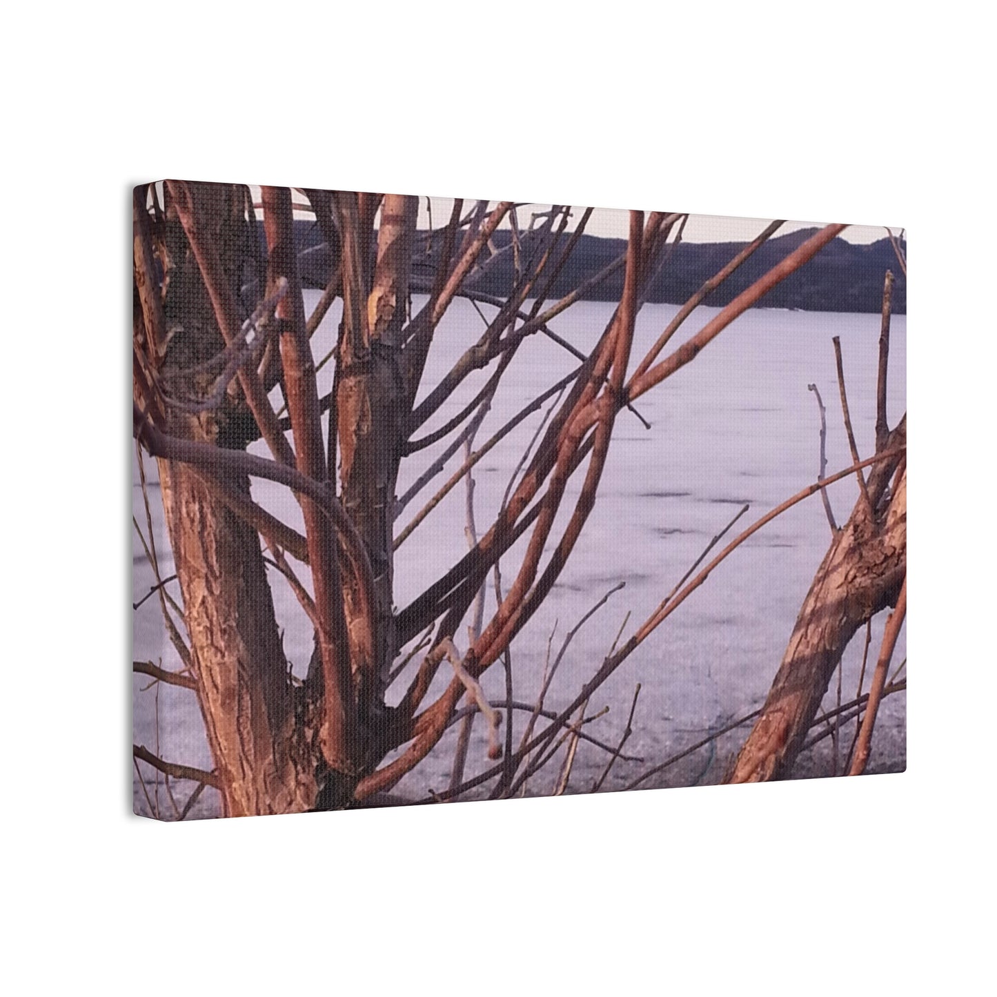Nature-Inspired Canvases from an #originalphotograph of a Serene Lakeview with Bare Trees - 0.75" Stretched Nature Wall Decor