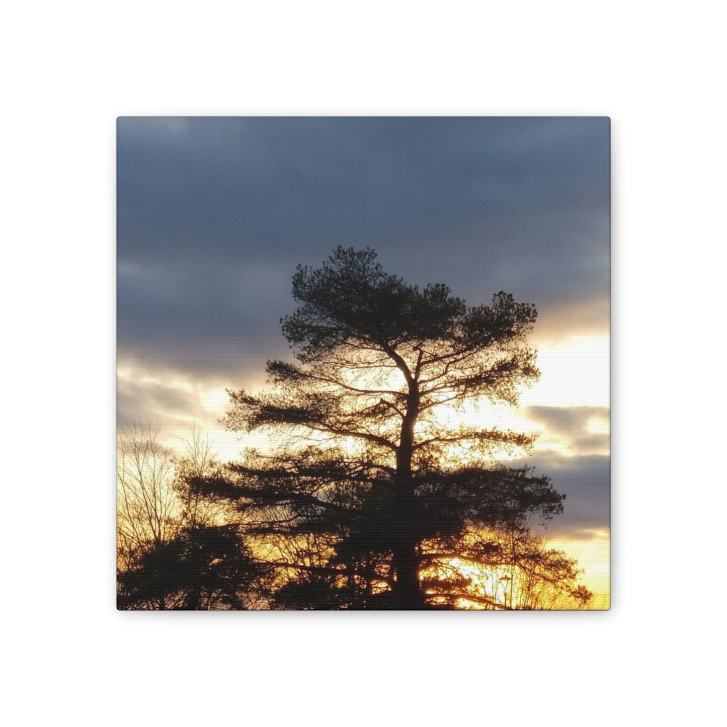 Nature-Inspired Canvases from an #originalphotograph of a Sunset Tree - 0.75" Stretched Nature Wall Decor
